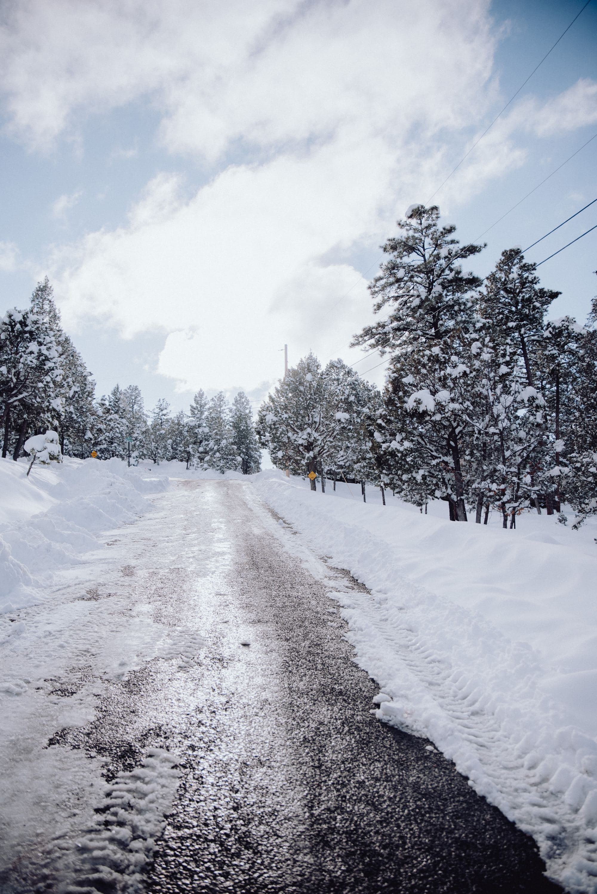 A road that is covered with snow next to trees.