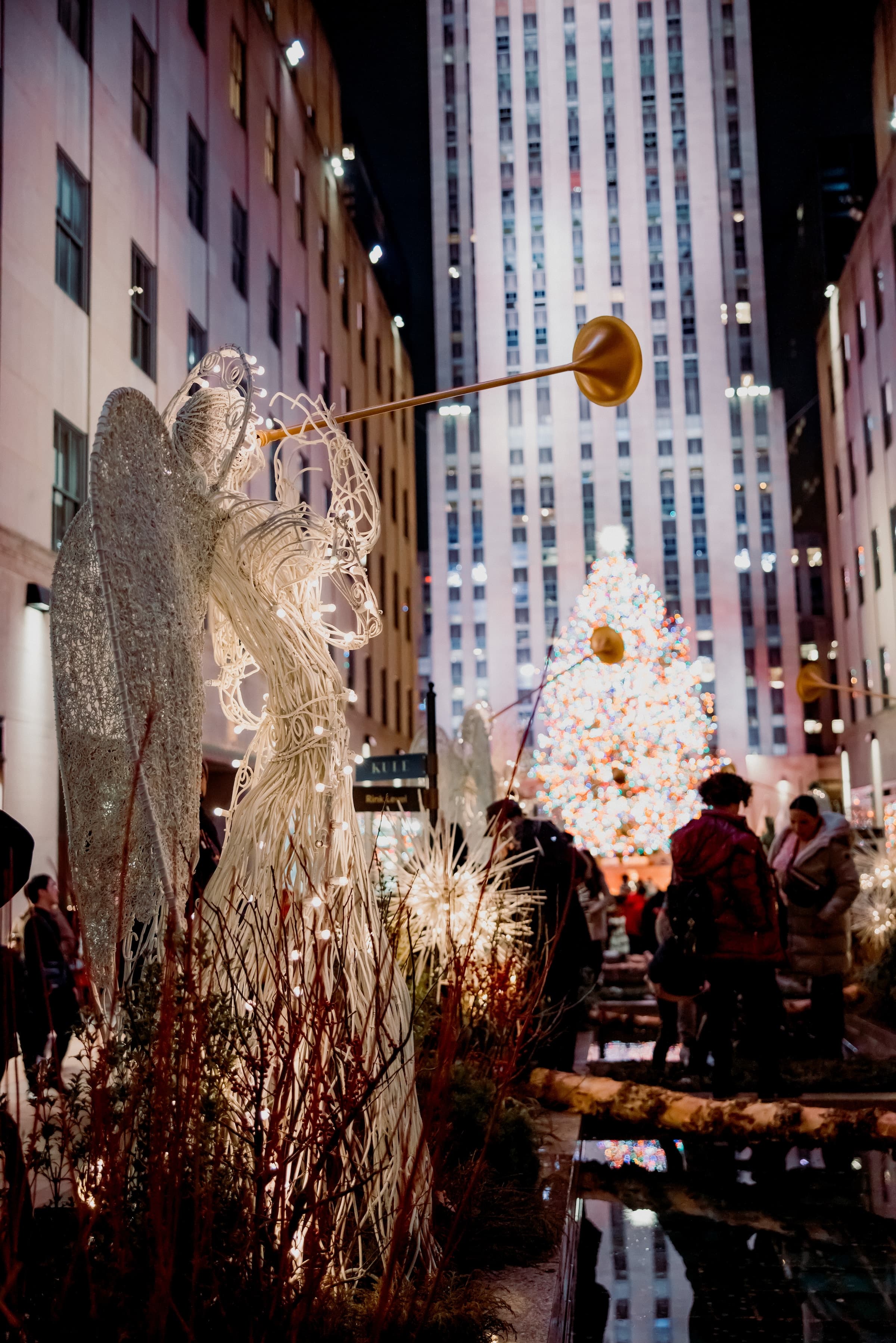 A group of people standing by the christmas tree in New York City.