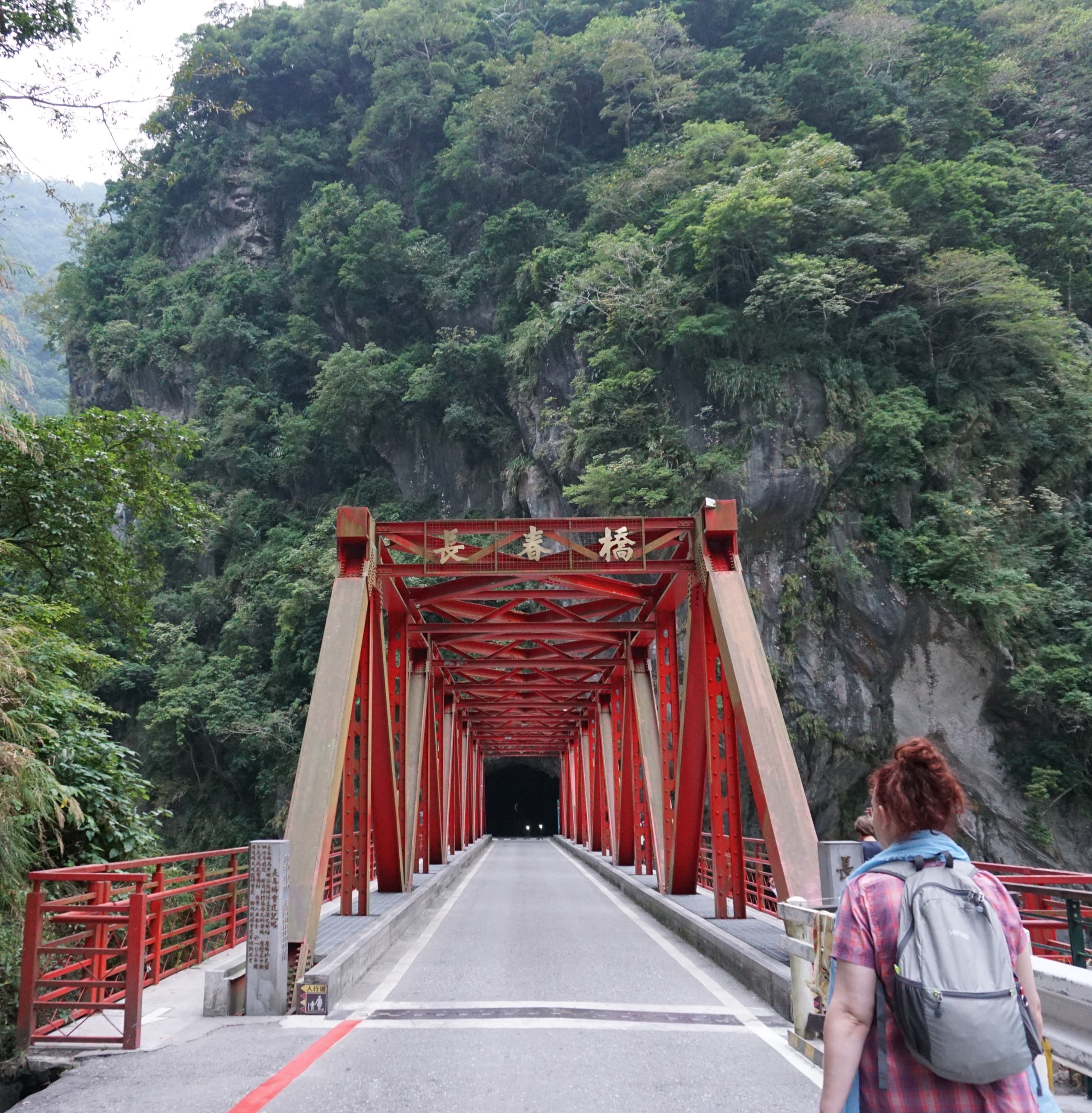 Taroko Gorge is a breathtaking natural wonder in Taiwan characterized by marble cliffs, lush forests, and winding trails.