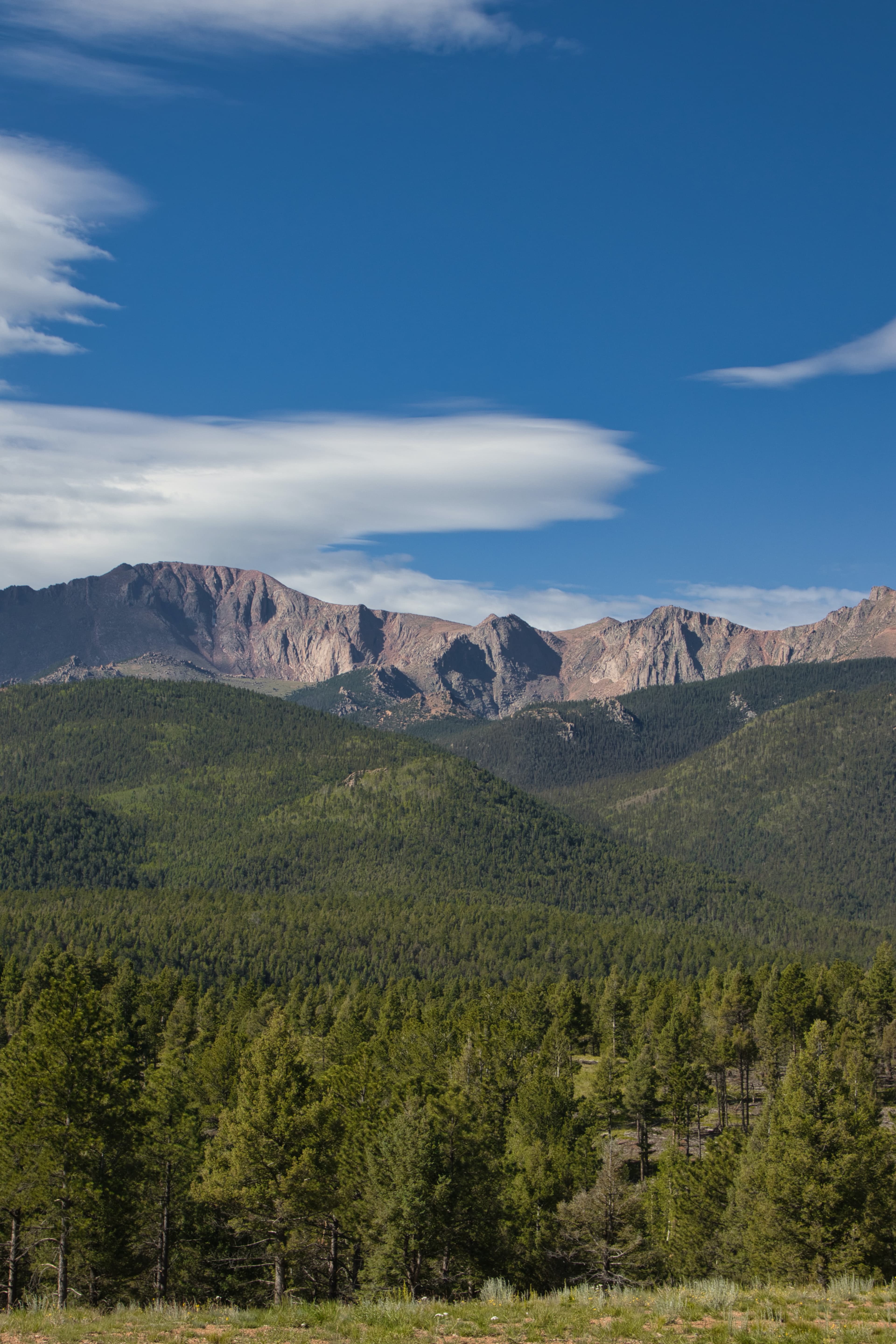 Green trees surrounded with mountains.