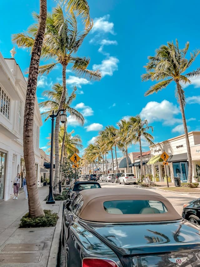 a-street-lined-with-palm-trees-and-parked-cars