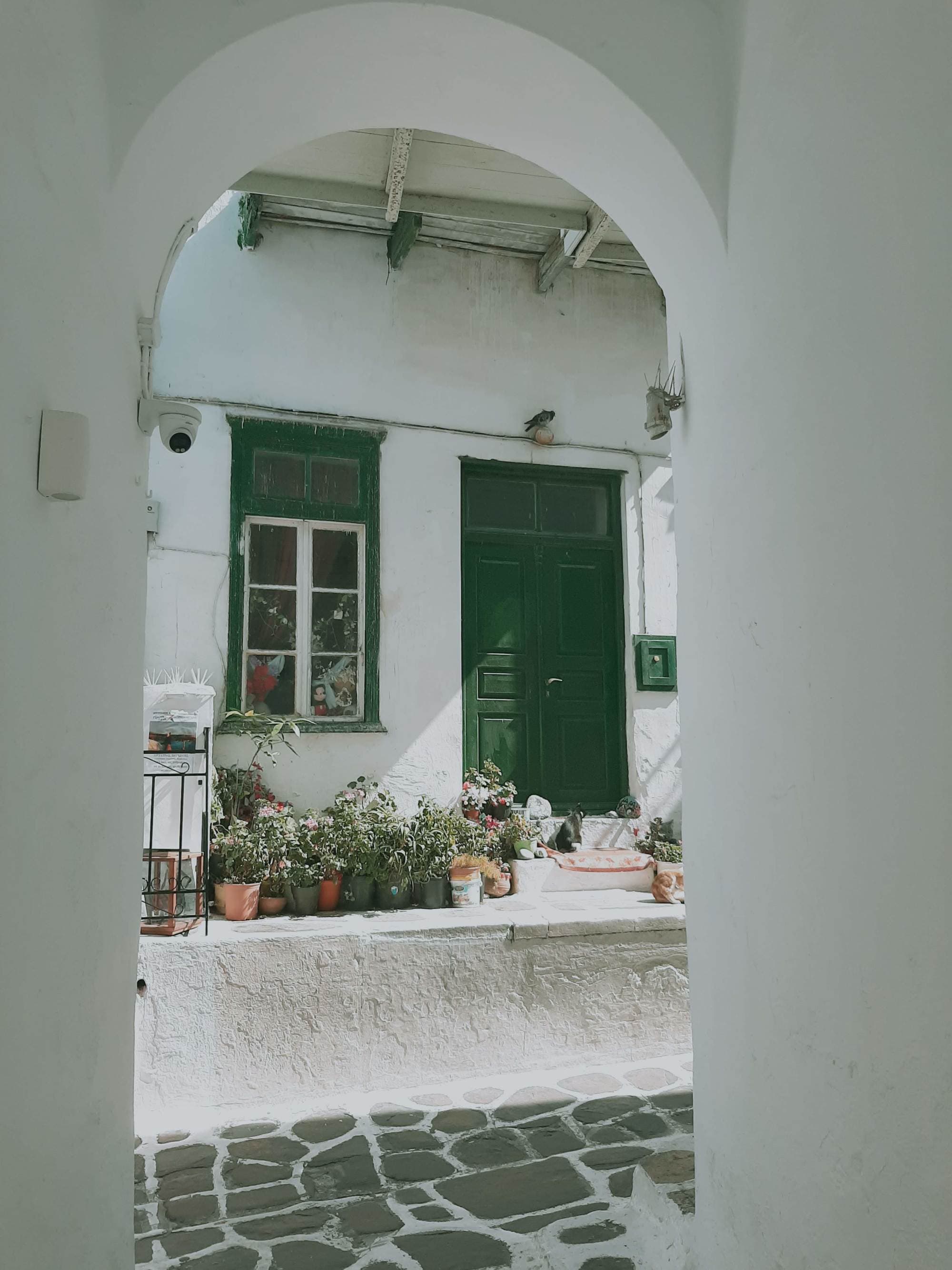 A picture taken from a window of a white colored house with green door and window pane.