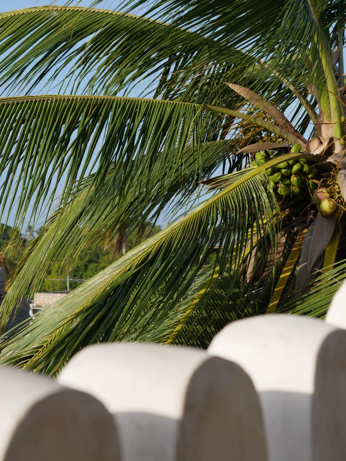 Lamu is a captivating Kenyan island known for its pristine beaches, historic architecture, and tranquil ambiance.