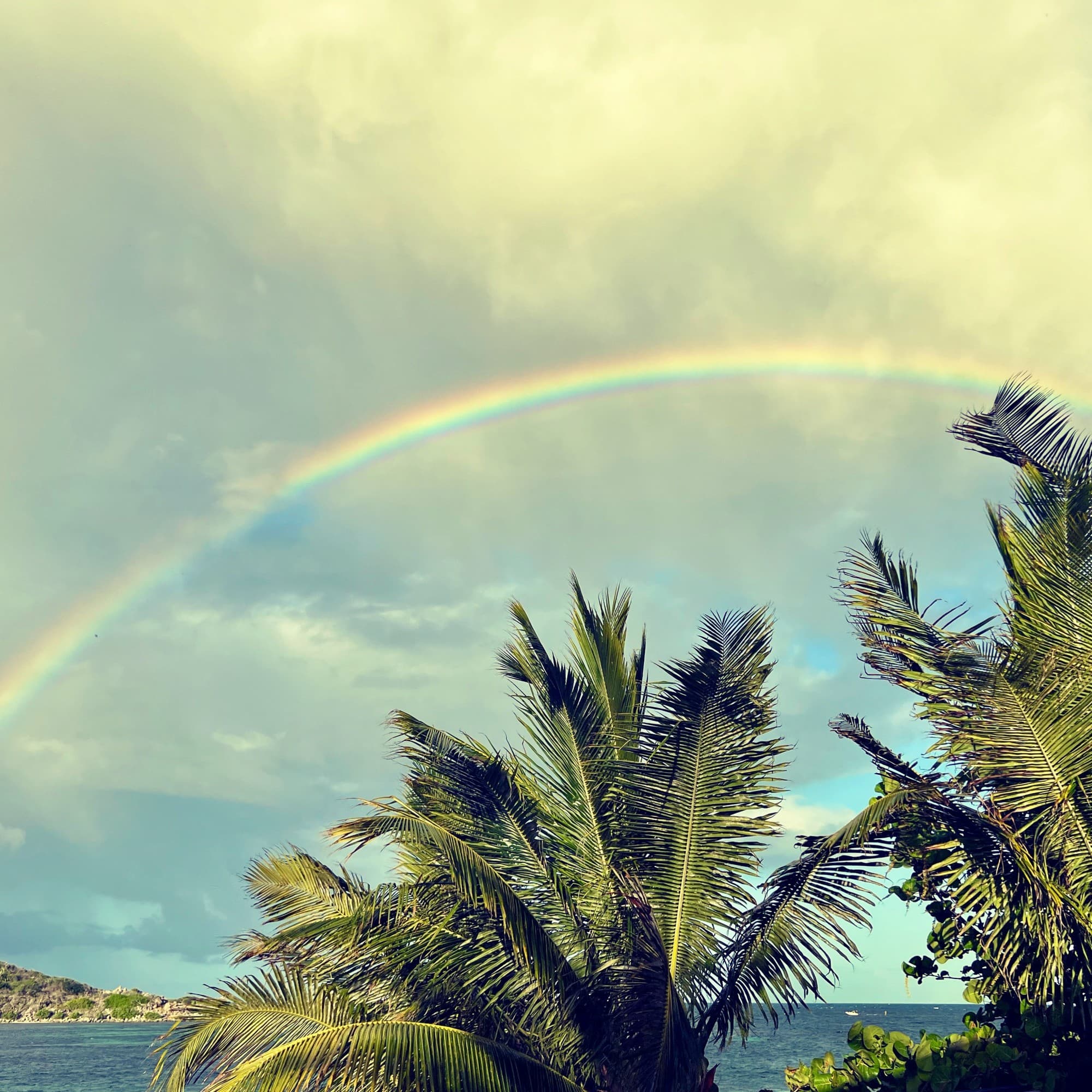 Rainbow over waterbody and palm trees.