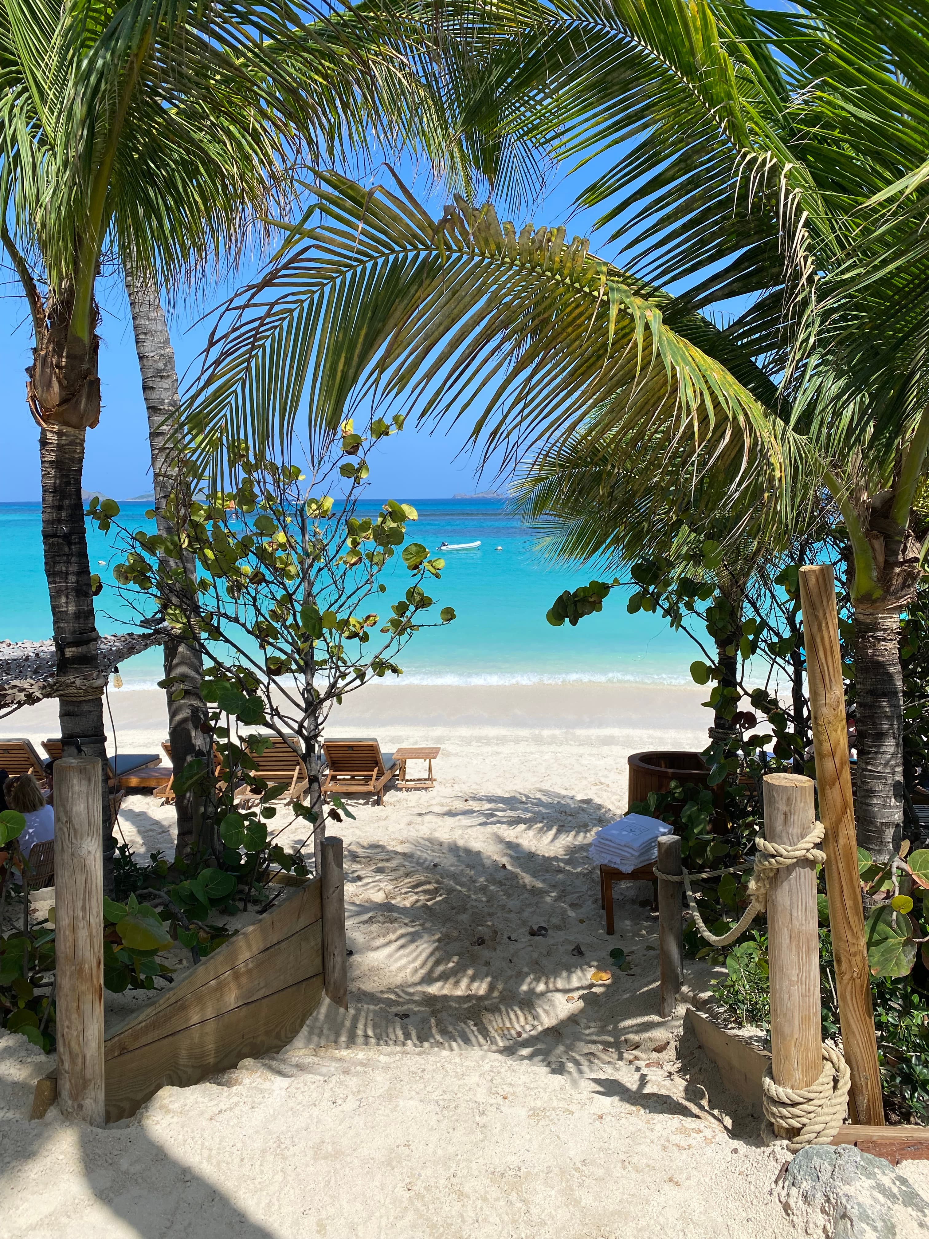 A sandy pathway leading to a beach with palm trees