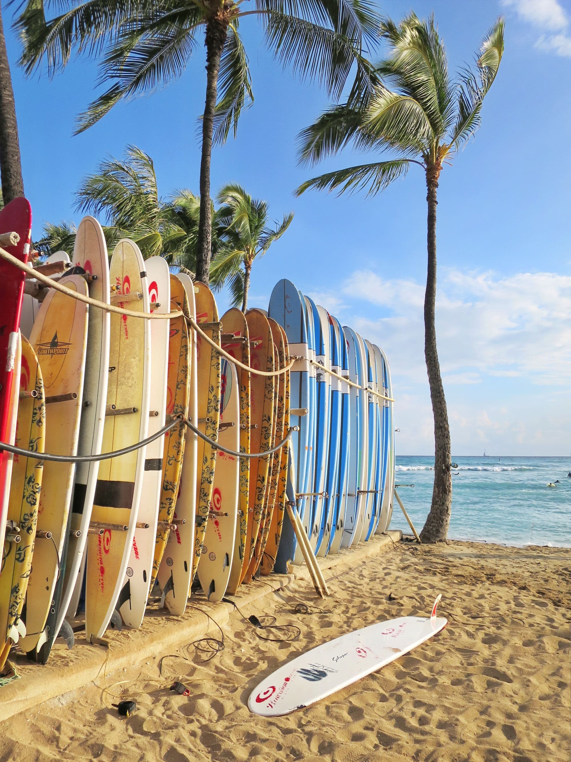 stack of surfboards on a beach with a palm tree