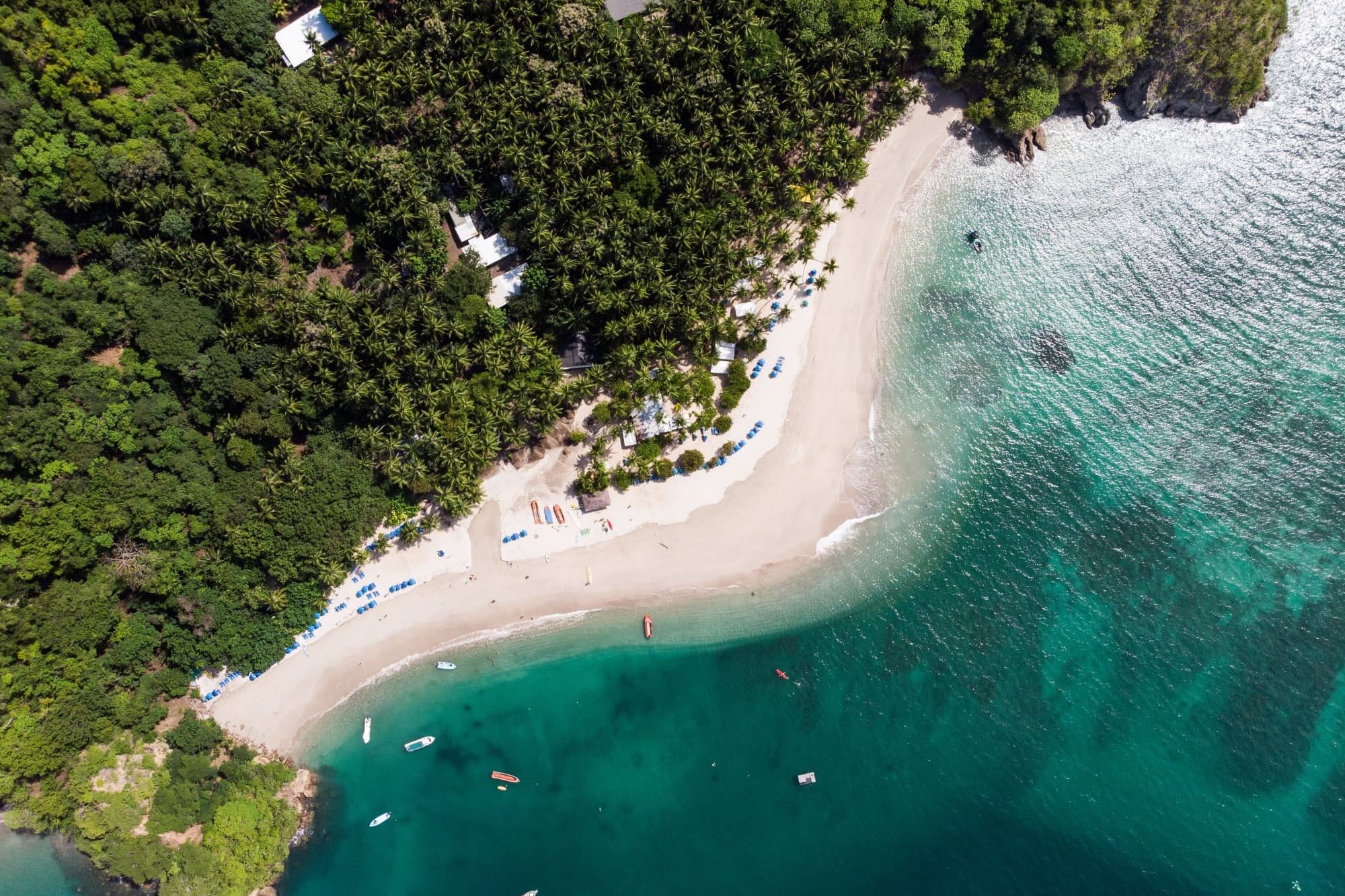aerial view of a jungly beach