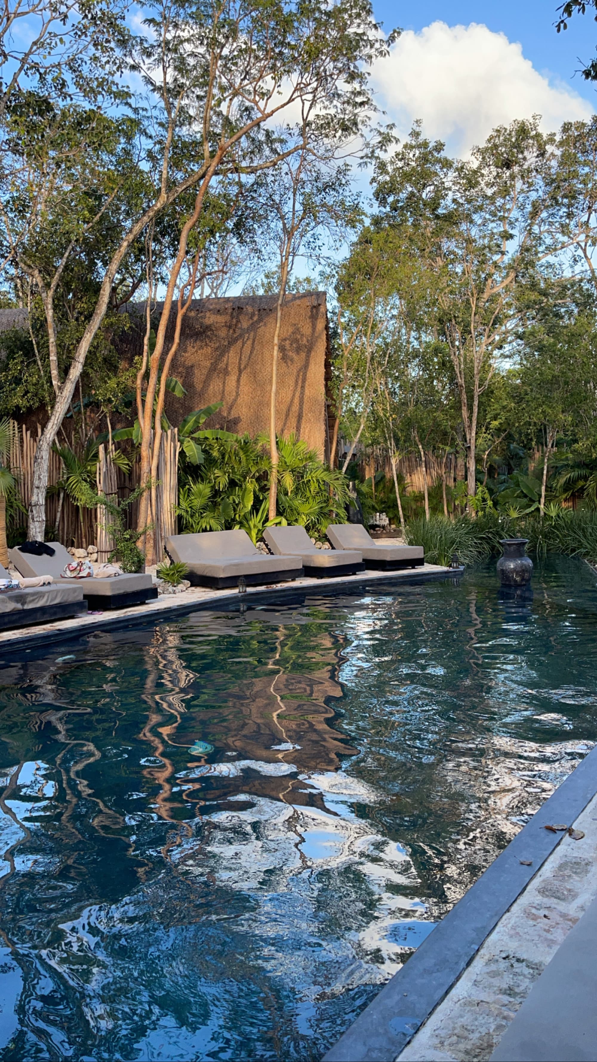 The image shows an outdoor swimming pool surrounded by loungers and lush greenery, reflecting a serene and natural ambiance.