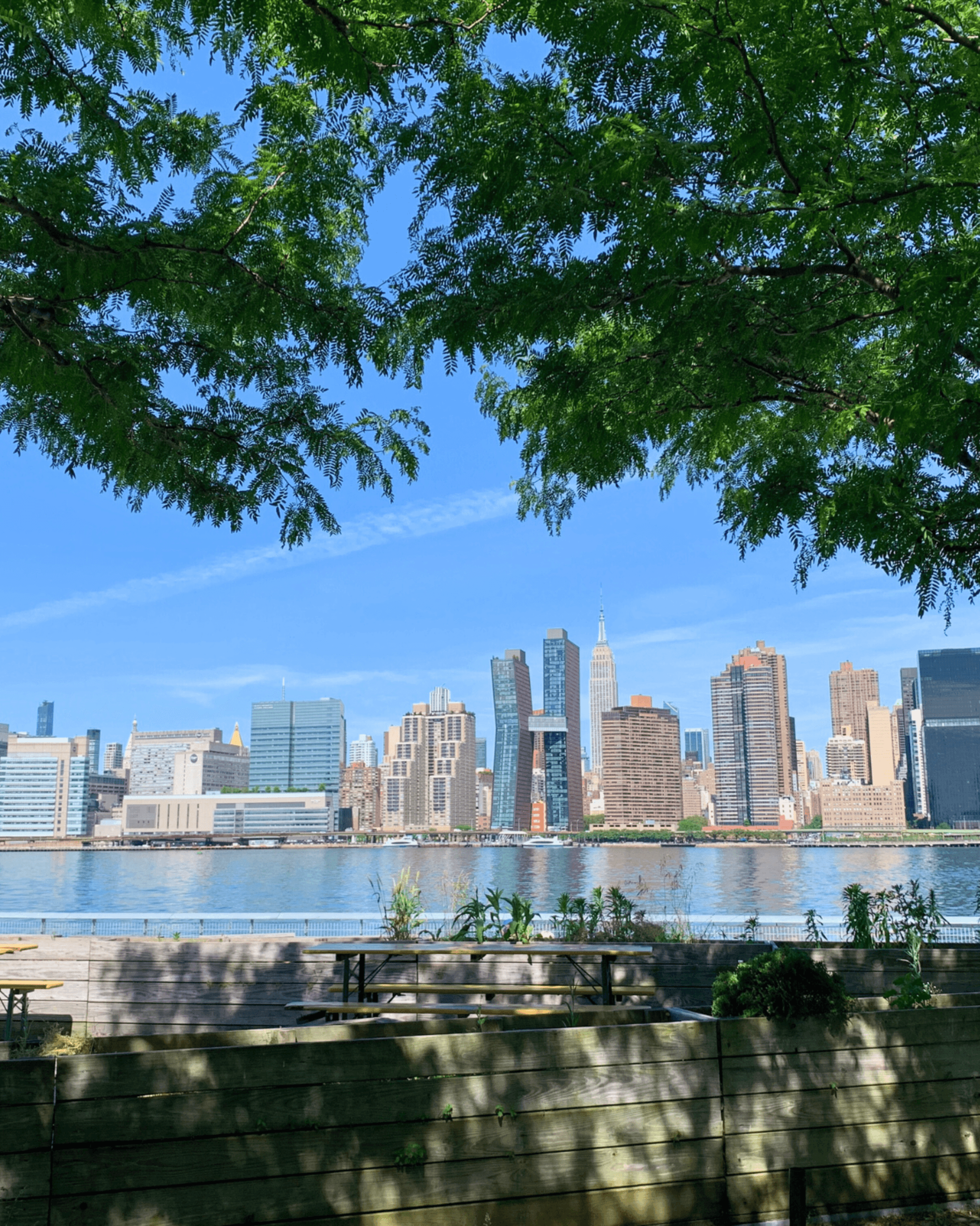 A city skyline is viewed across a body of water, with green foliage in the foreground under a clear blue sky.