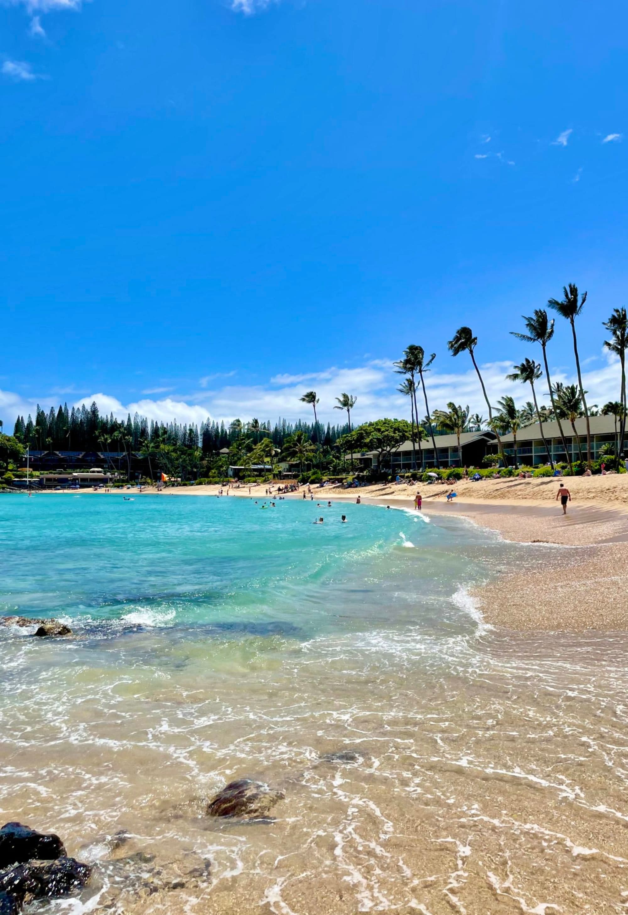 A sunny beach scene with clear blue skies, palm trees, and people enjoying the water and sand.