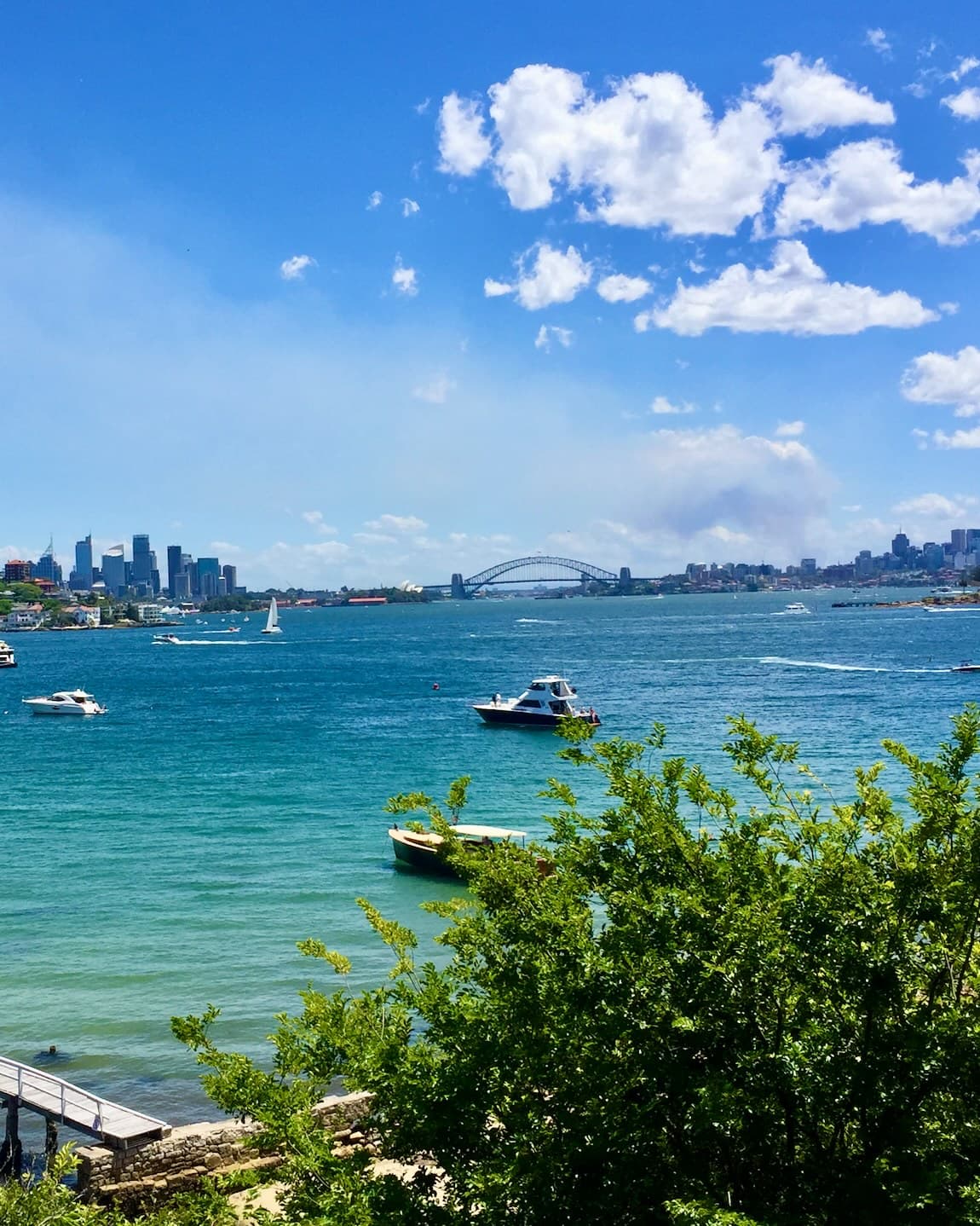 Boats in a body of water with a city skyline in the distance