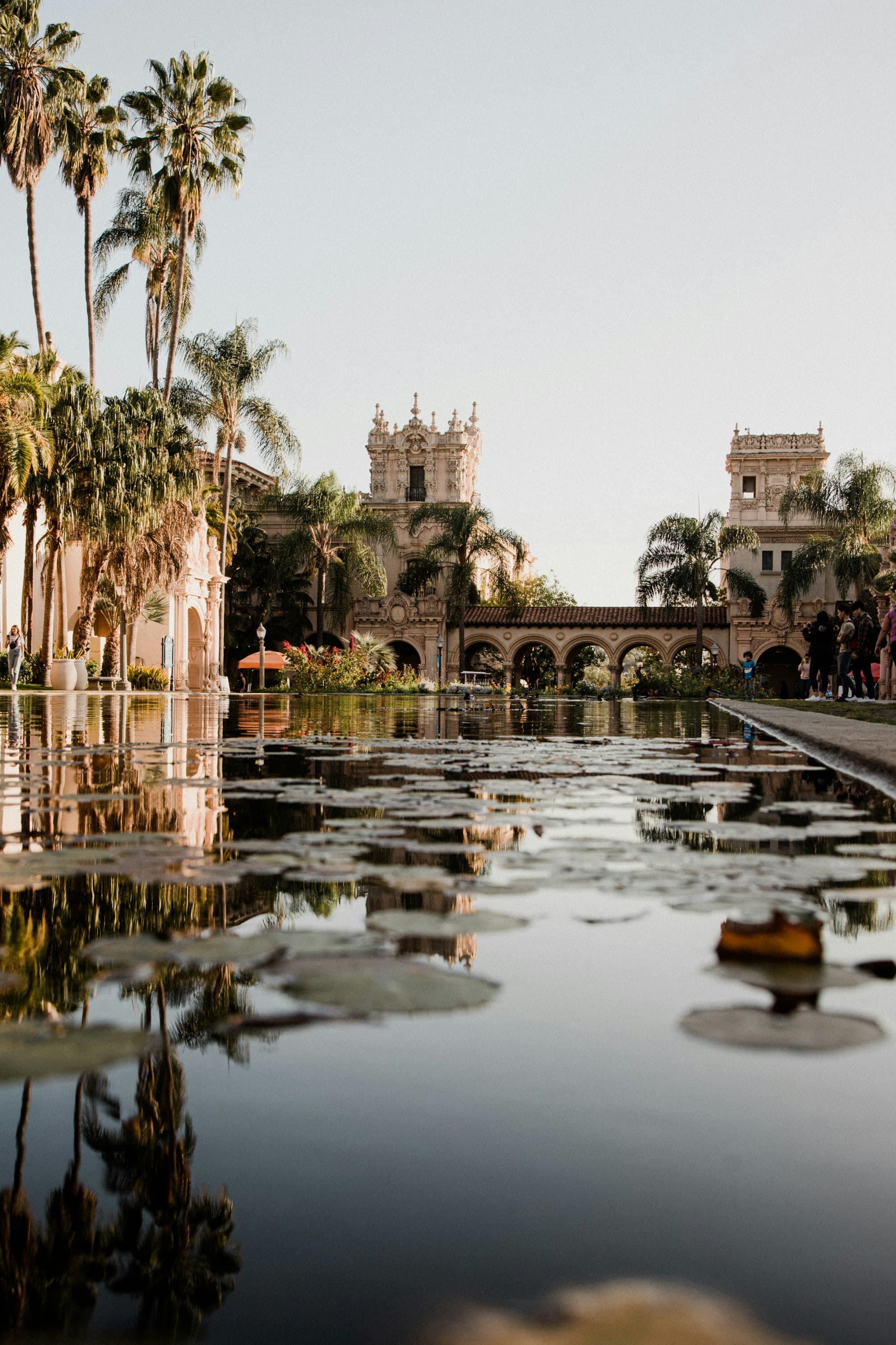 A body of water before an ancient building with palm trees at the sides