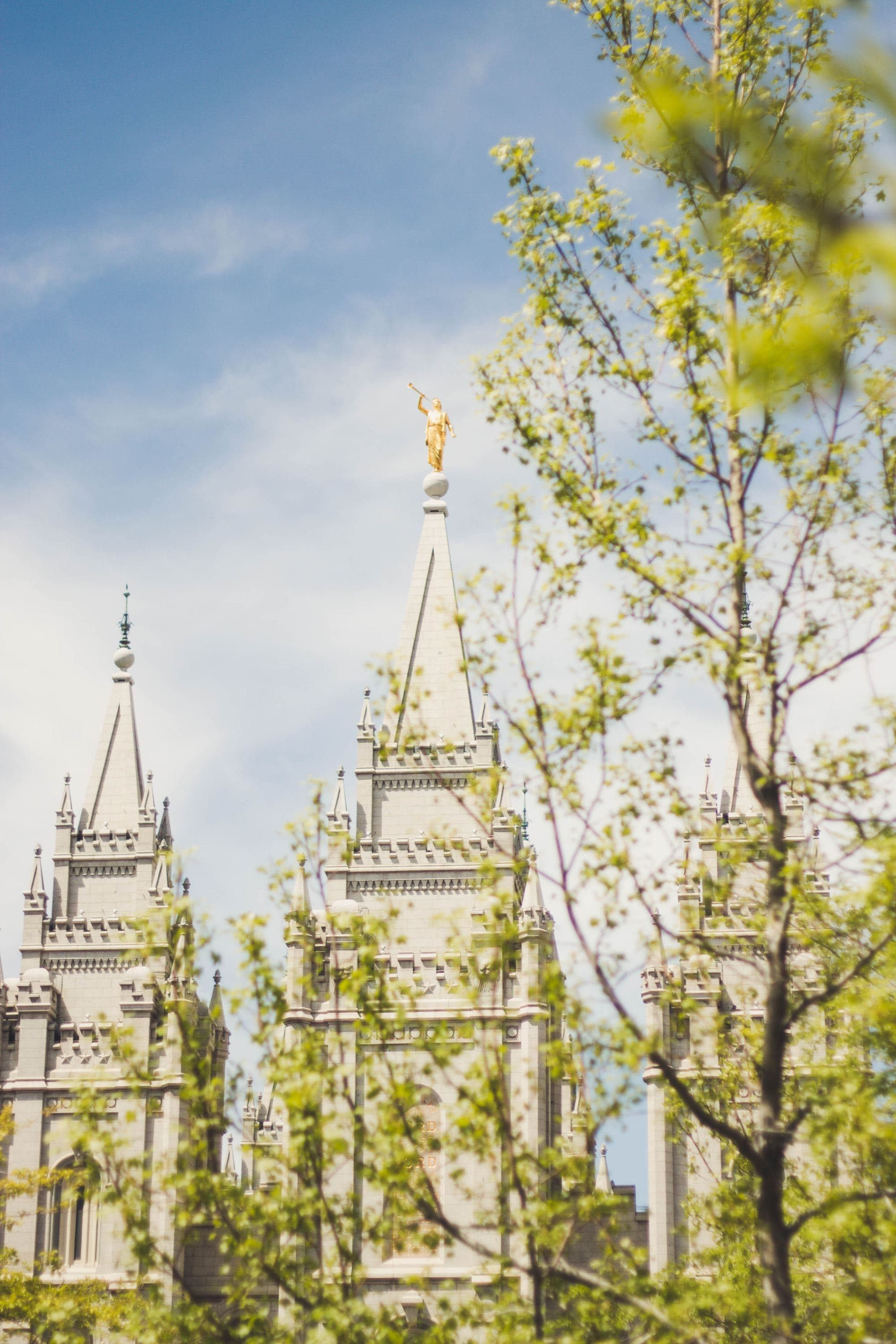 white steeples seen through green branches