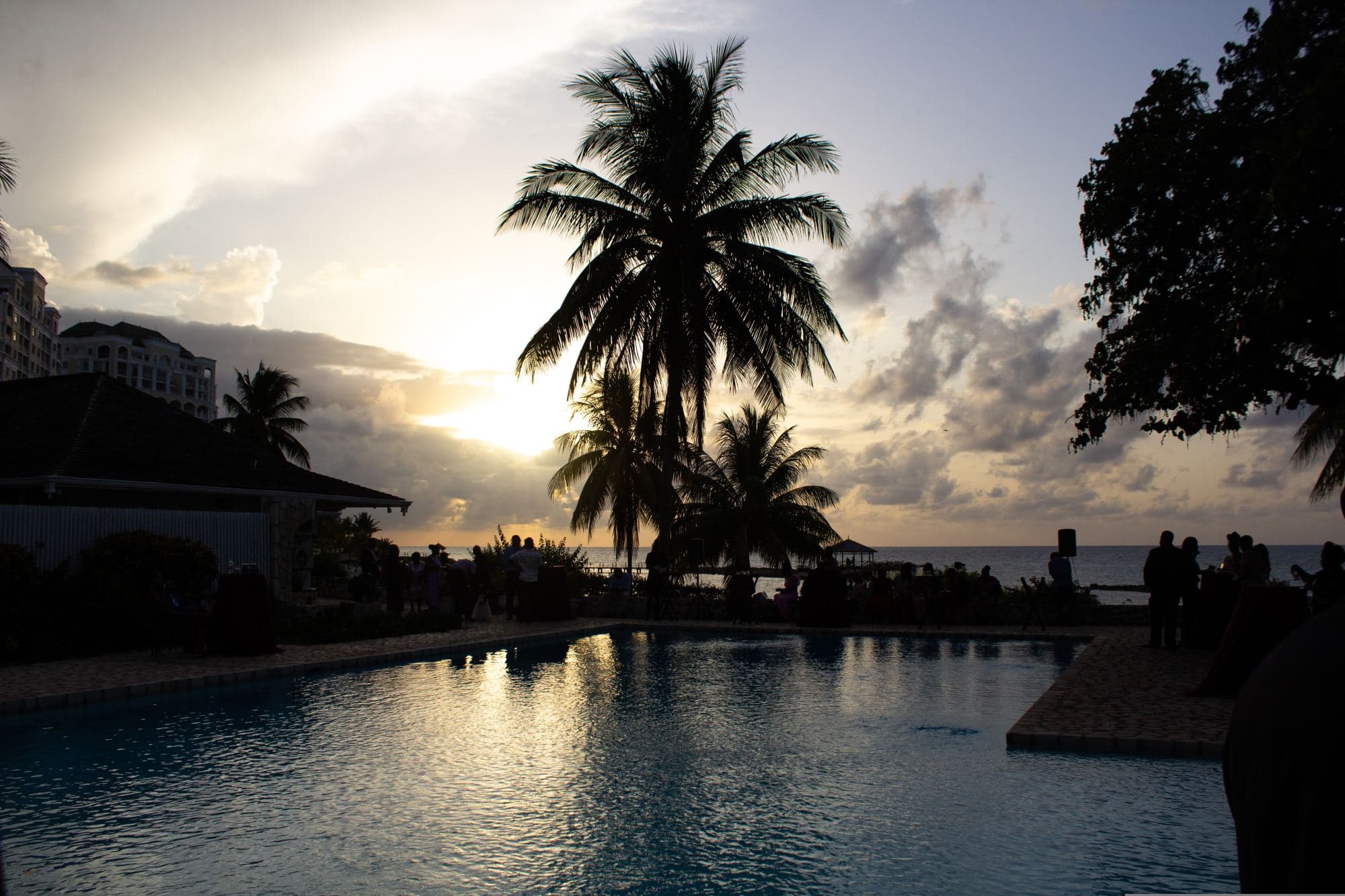 pool and palm trees during sunset on a tropical beach