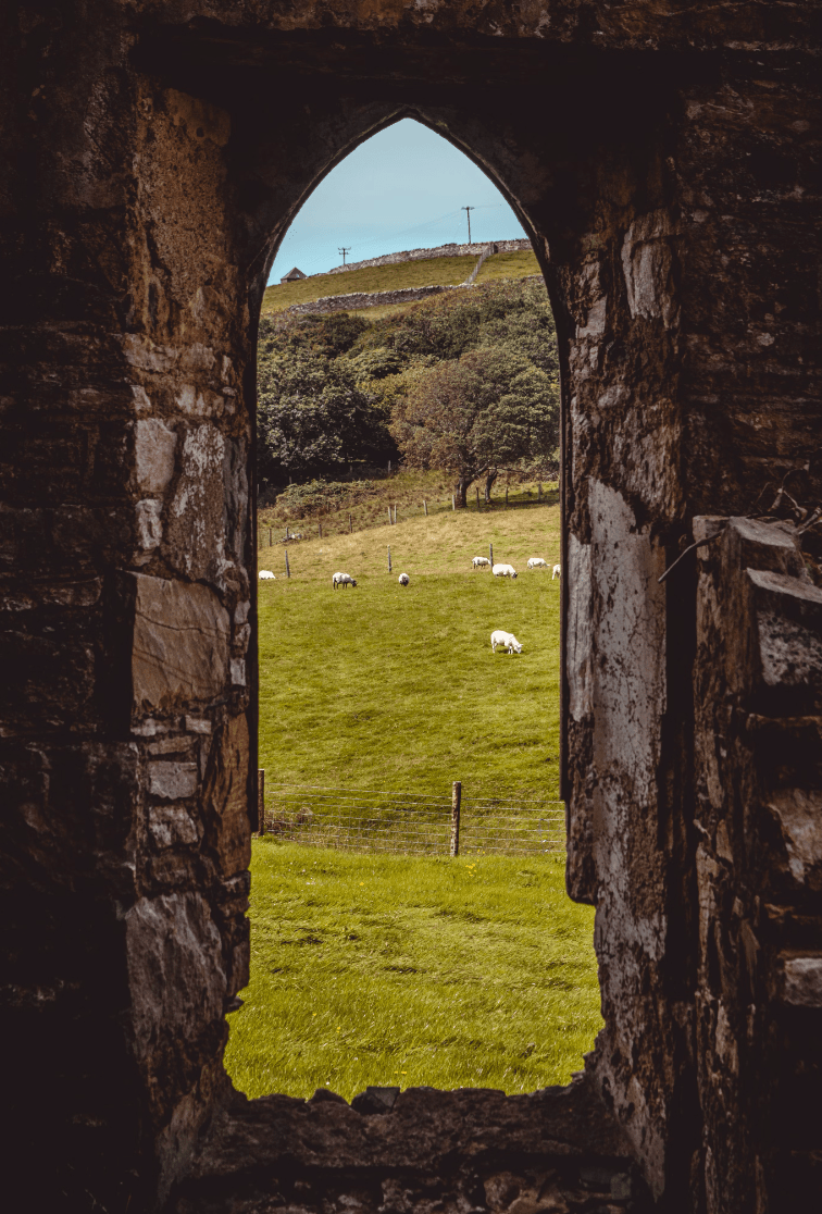 A stone window looking out to a meadow with sheep grazing.
