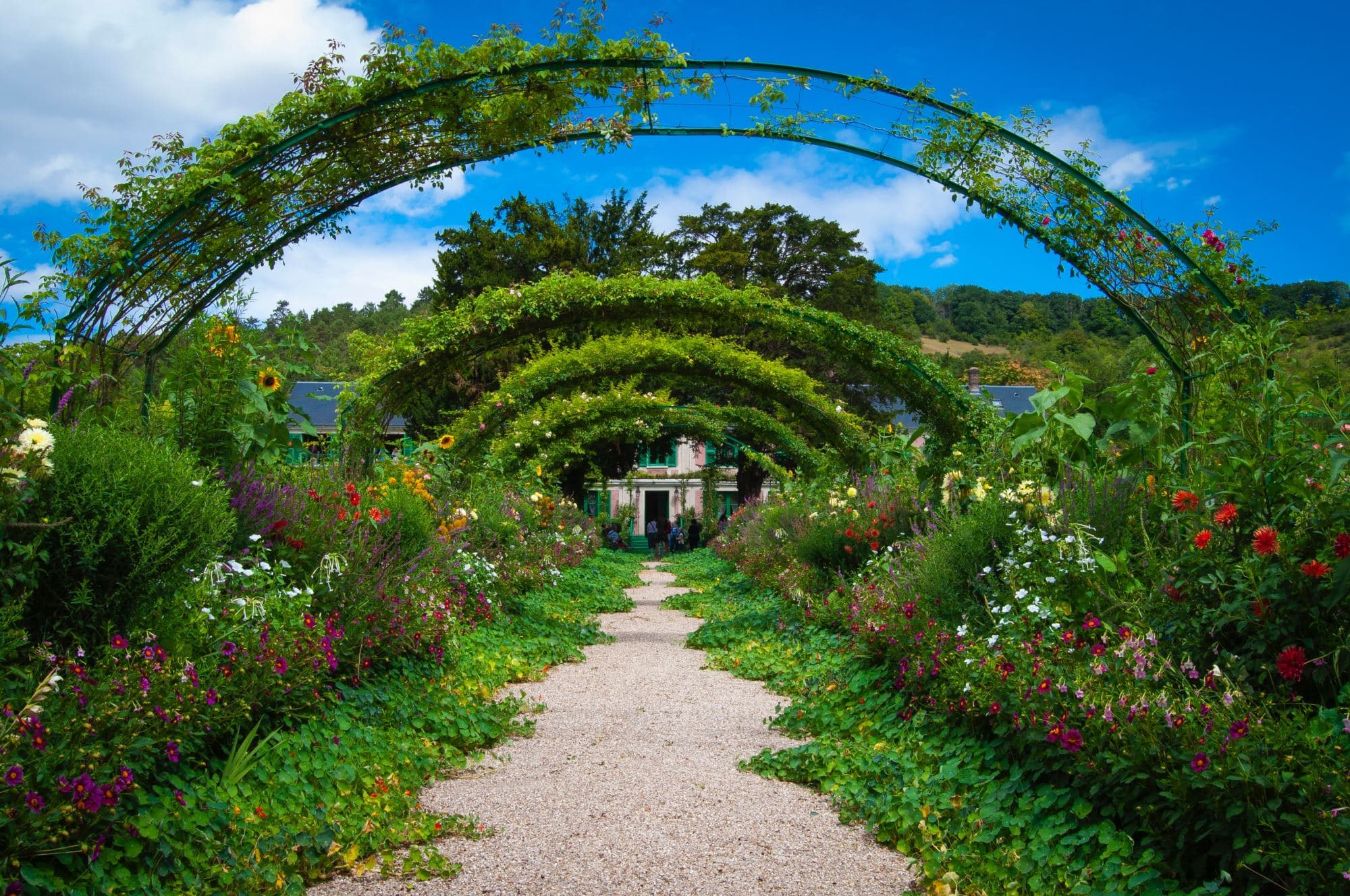 flower arch in a botanical garden
