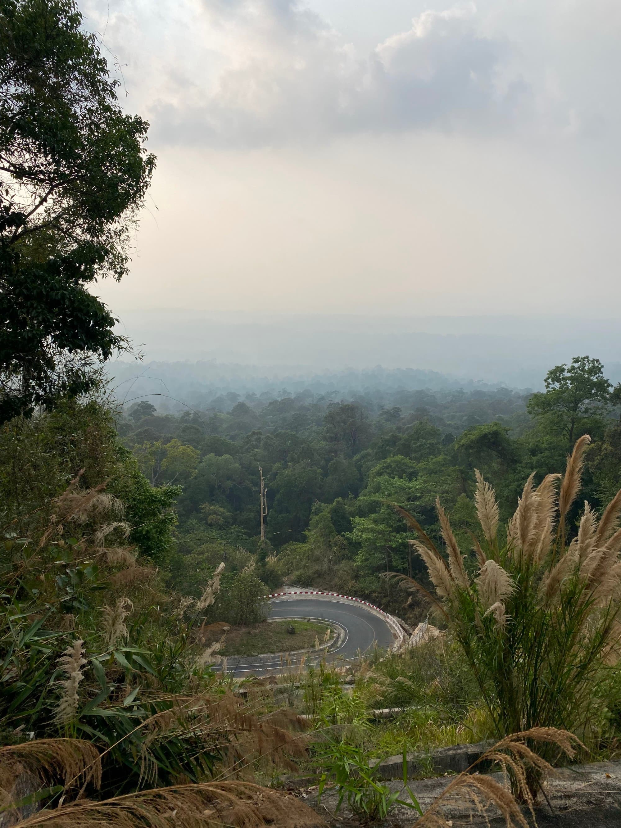 View of winding road up the side of a lush hill on a cloudy day.