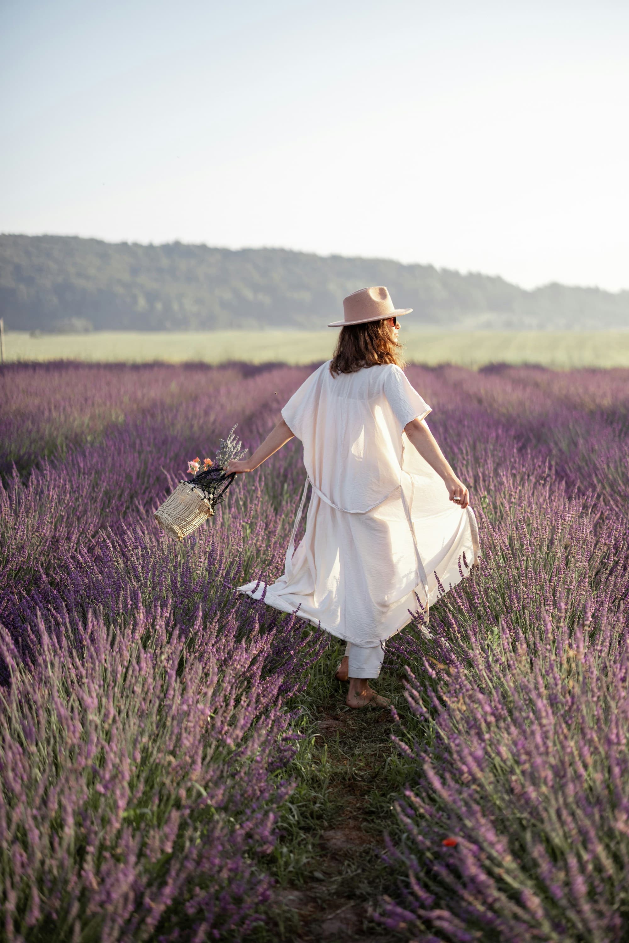 The image captures an individual strolling through a lavender field, basket in hand, clad in a white dress and hat, amidst the vibrant purple blooms.