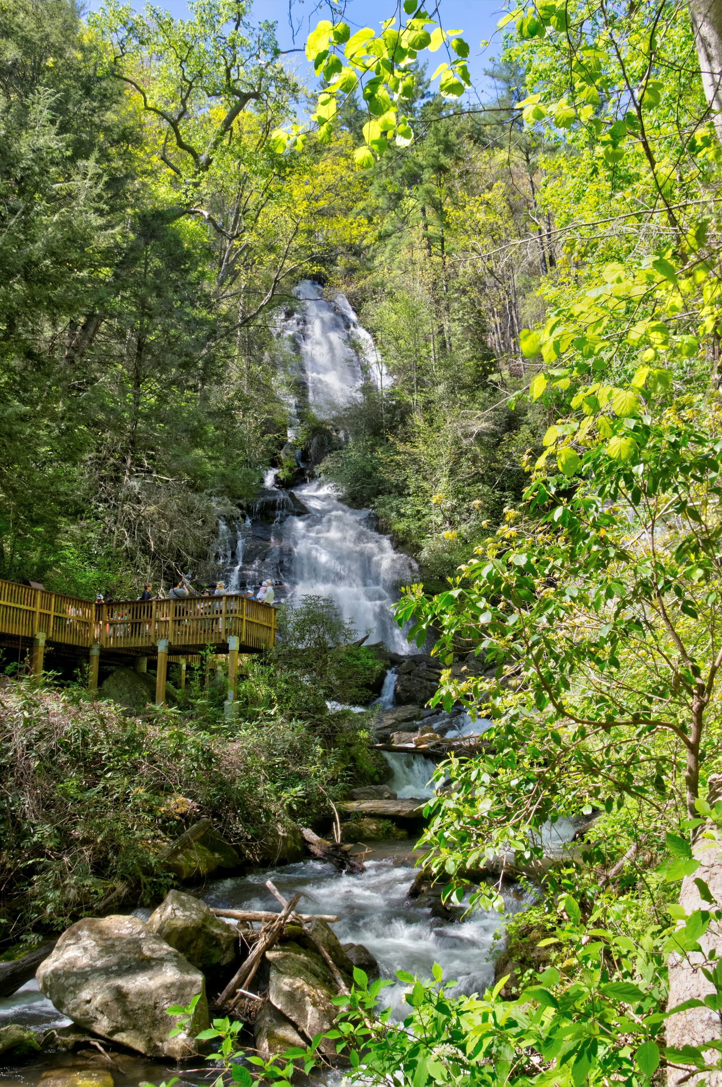 Water descends Anna Ruby Falls surrounded by greenery and an outlook post on a sunny day.