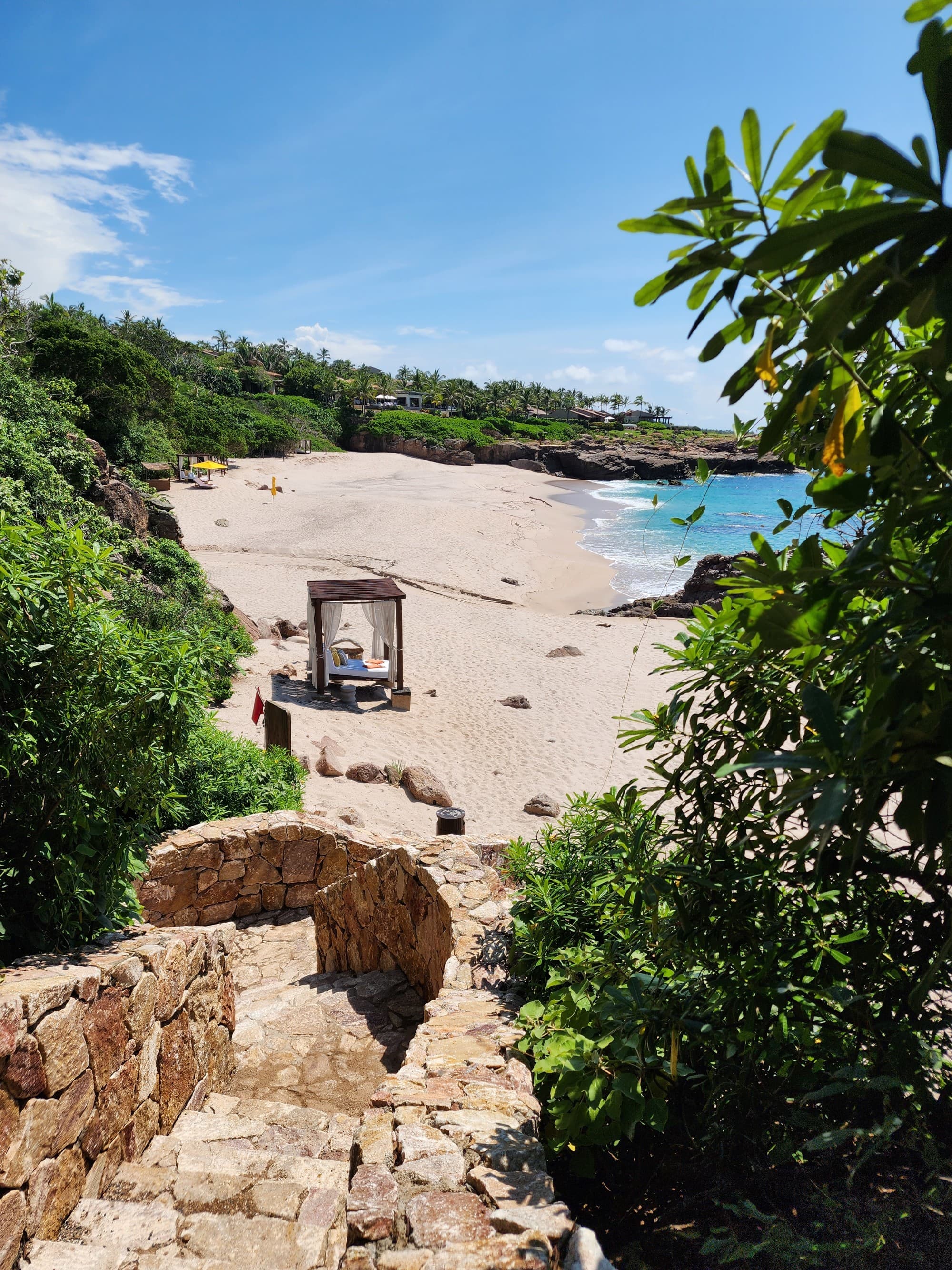 A beach surrounded by trees and lush greenery during the daytime