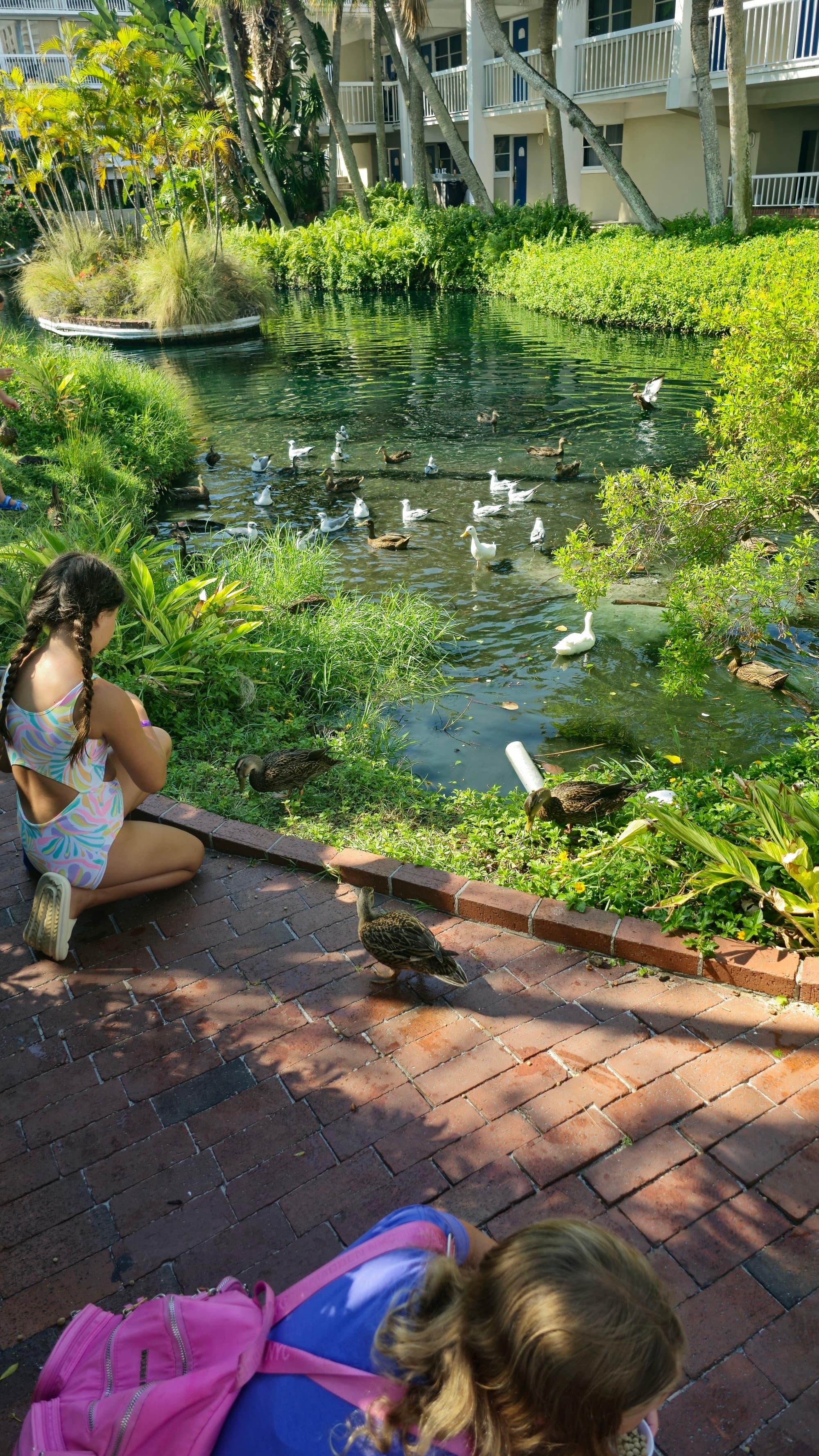 Children playing on a wooden deck next to a pond