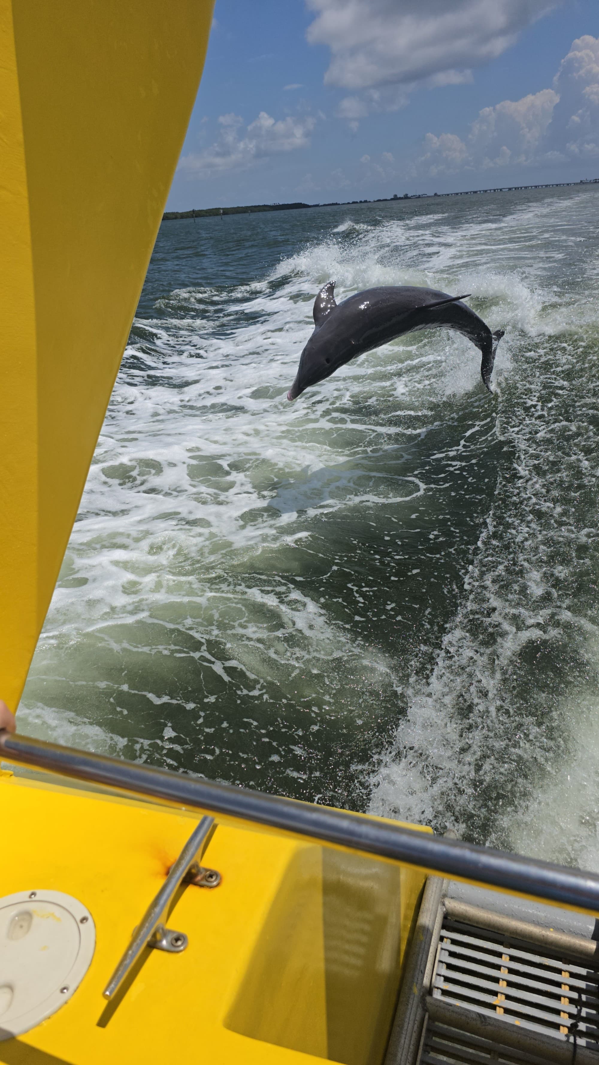 A dolphin jumping out of the water at the back of a yellow boat