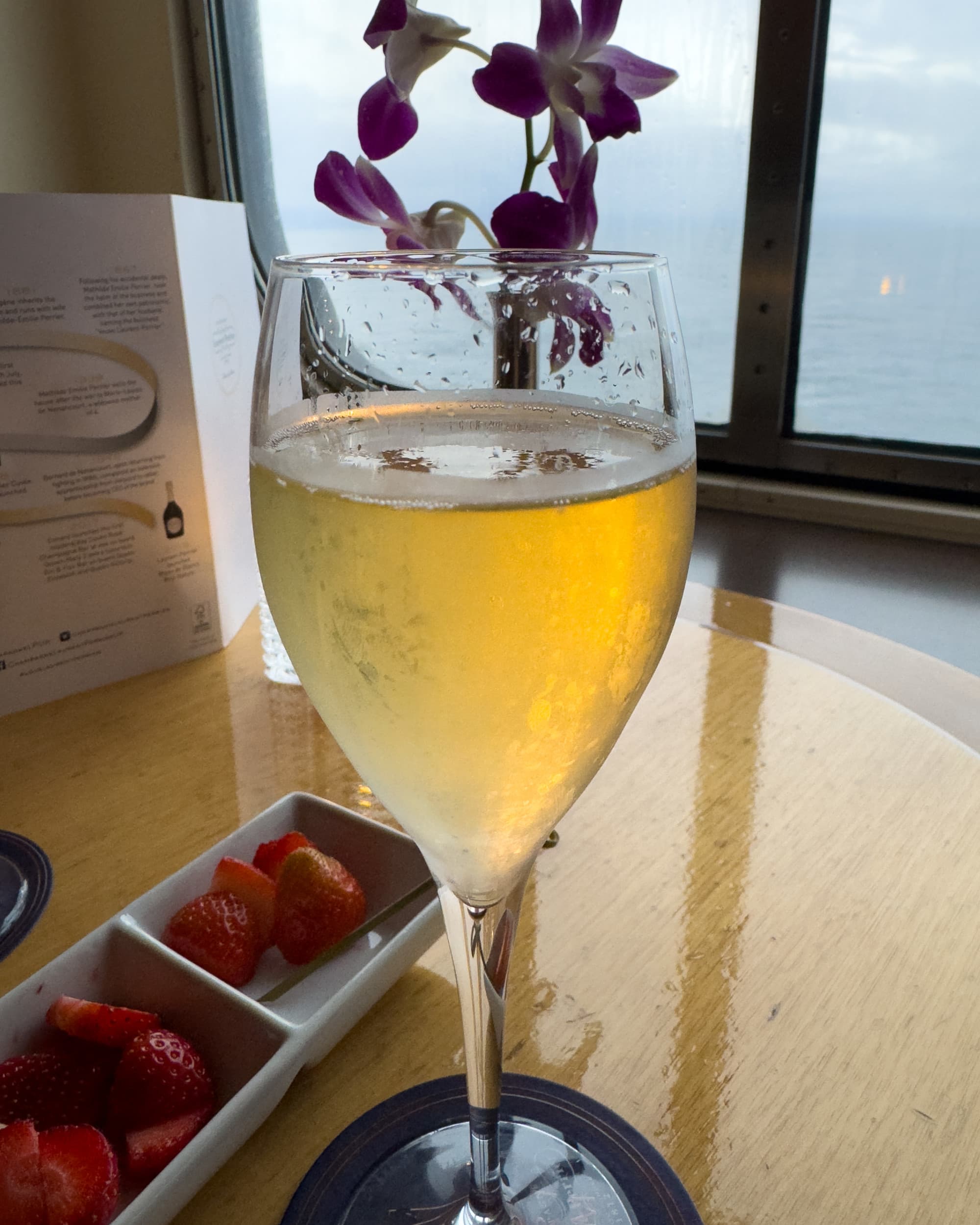 A glass of champagne with strawberries with an ocean view behind it.