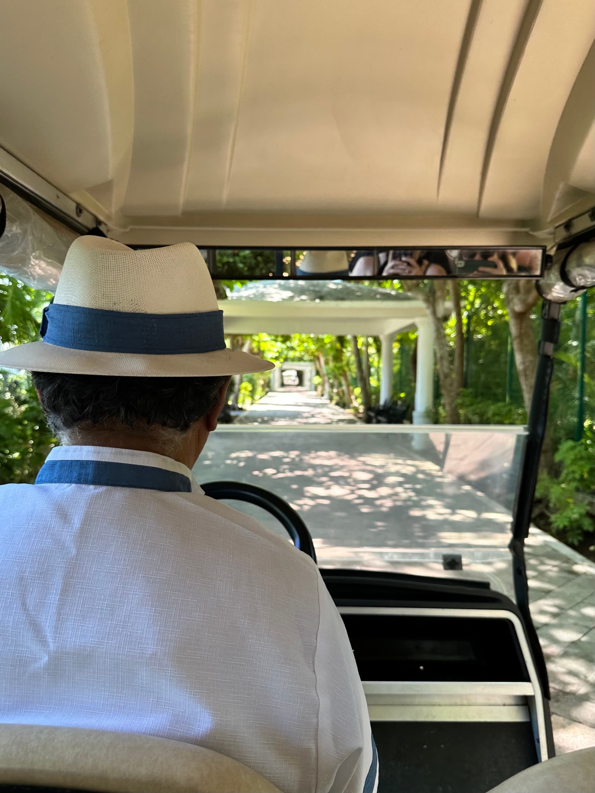 A photo from the back of a person driving a golf cart down a brick path