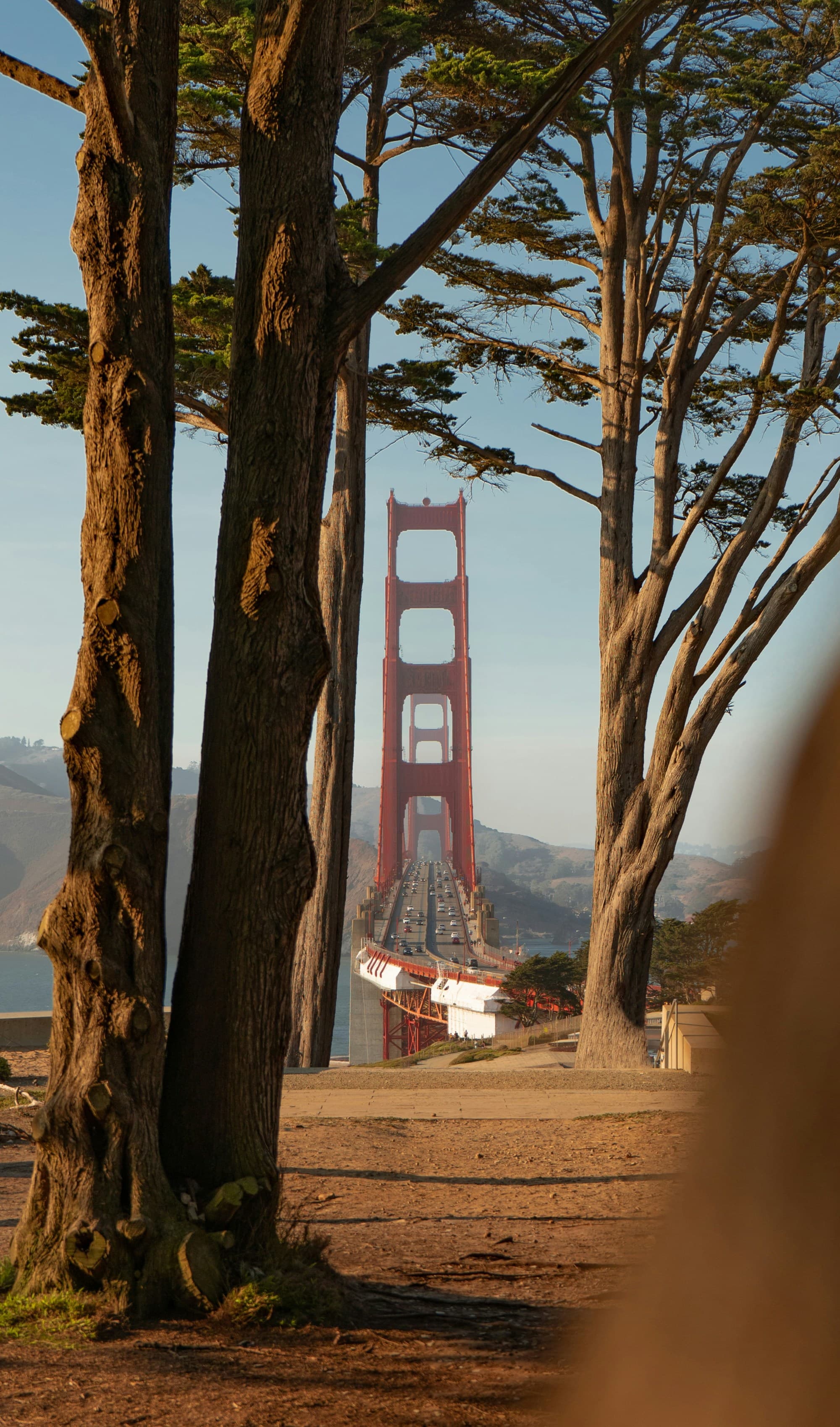 Red bridge visible through trees.