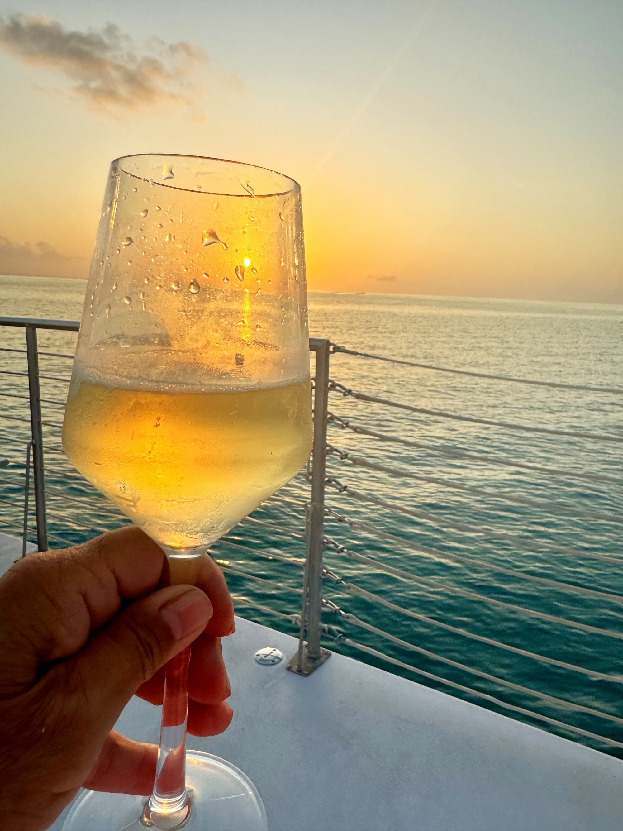 The image captures a hand holding a glass of white wine against a sunset ocean backdrop.
