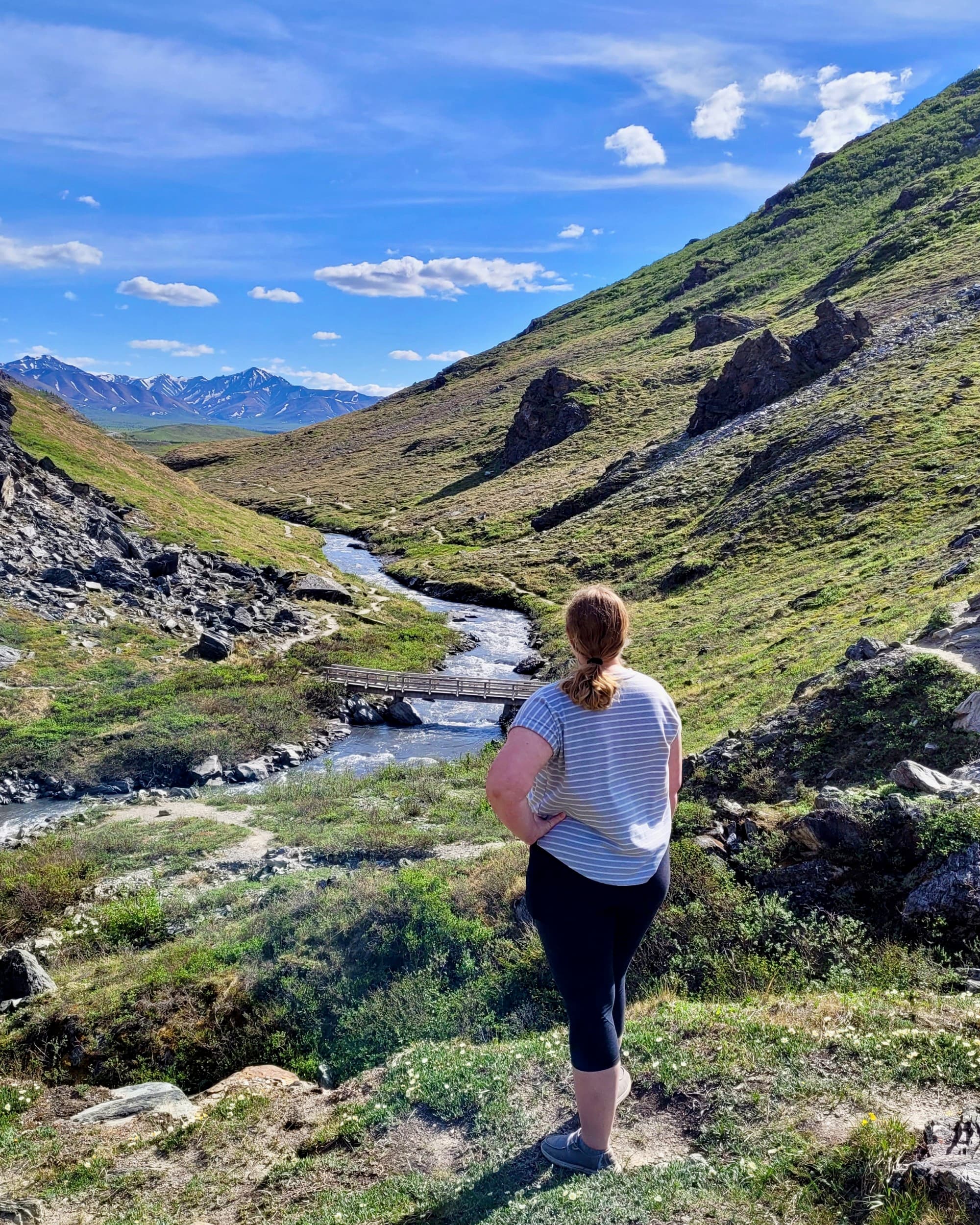The image portrays a person standing amidst a serene green landscape with a flowing stream, surrounded by hills under a clear blue sky.