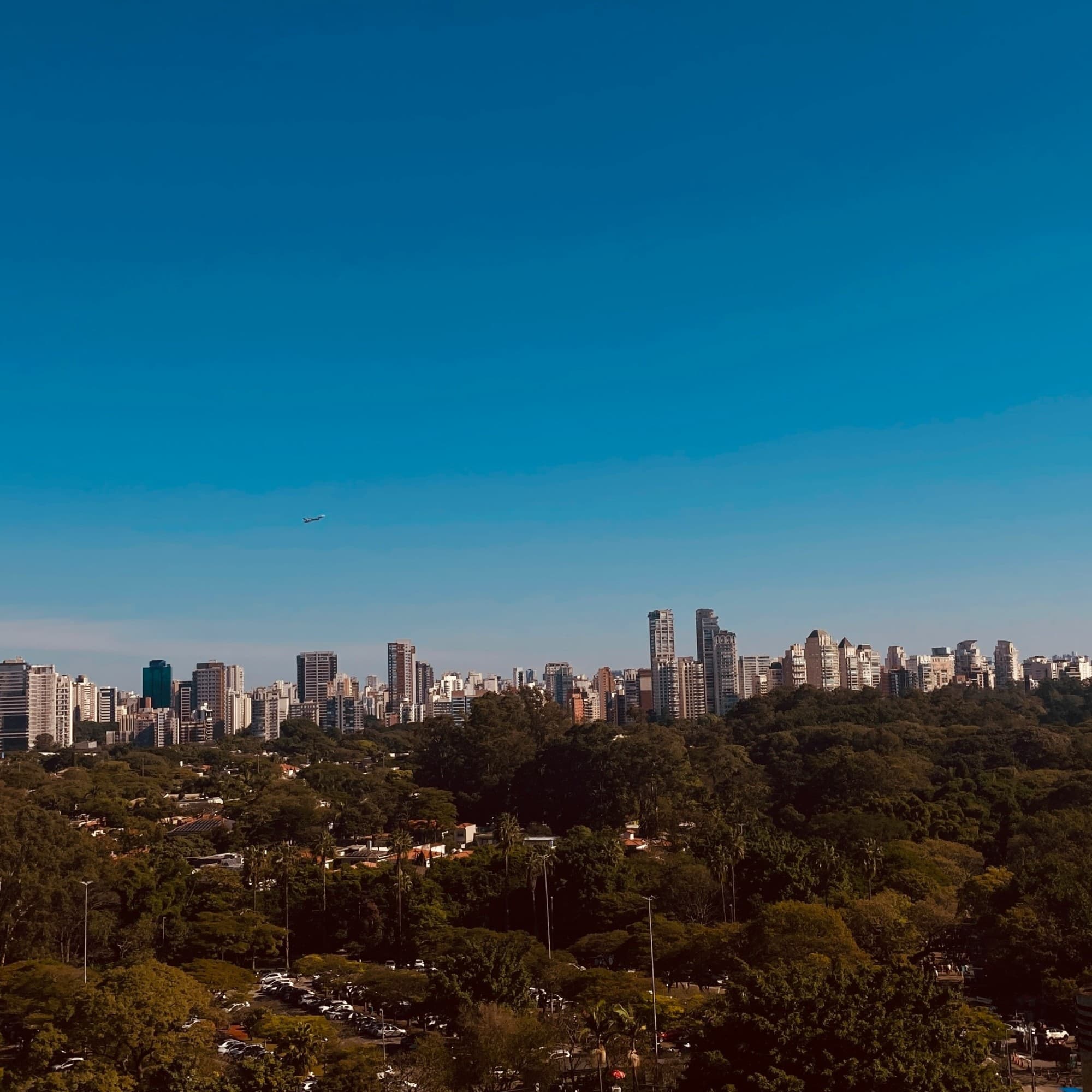 Skyline of city with trees and buildings.