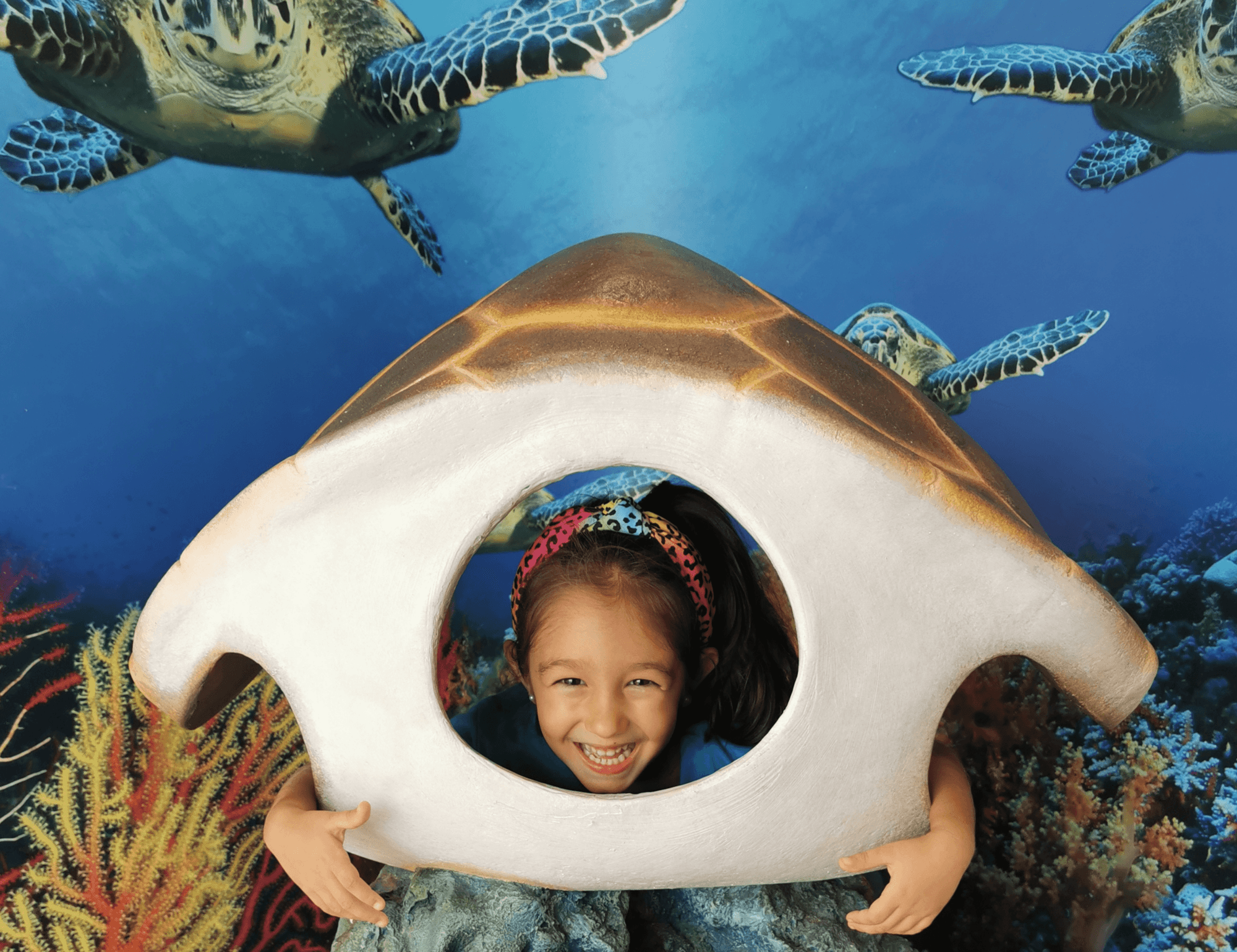 Acquario di Cala Gonone