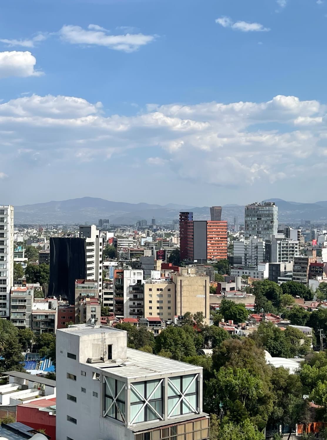 cityscape on a sunny day