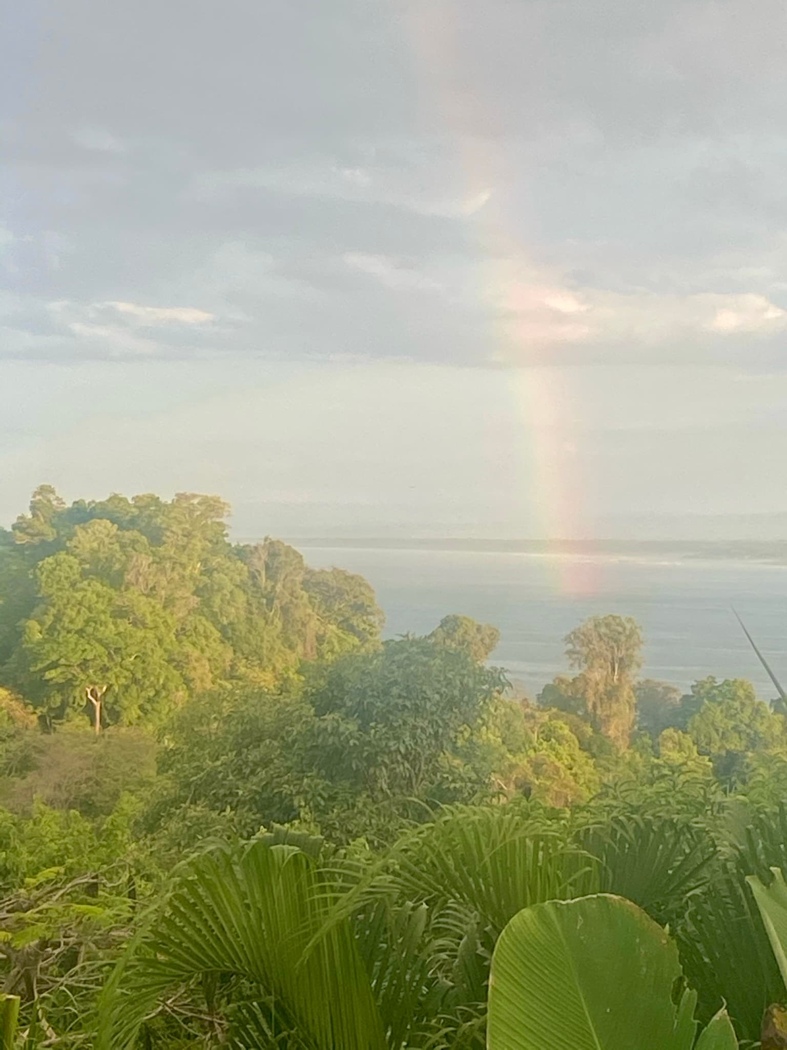 Rainbow over a lush green forest and ocean with clouds overhead