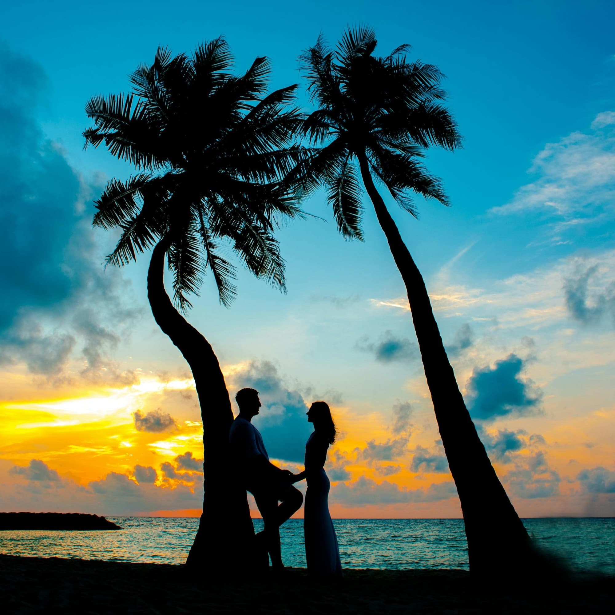 The silhouette of a couple under palm trees near beach holding hands at sunset.