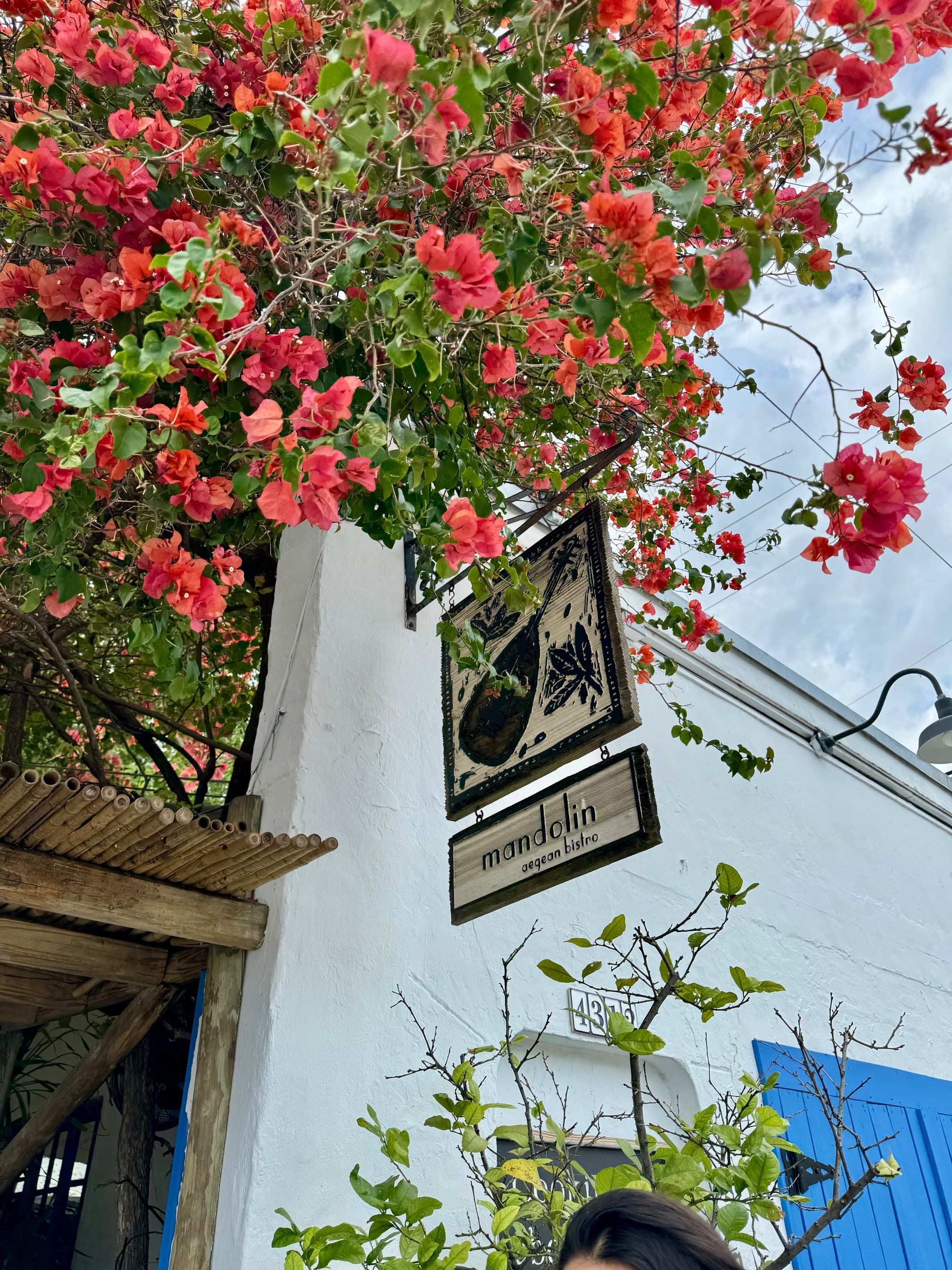 Miami Beach Edition - Ariann Bernstein