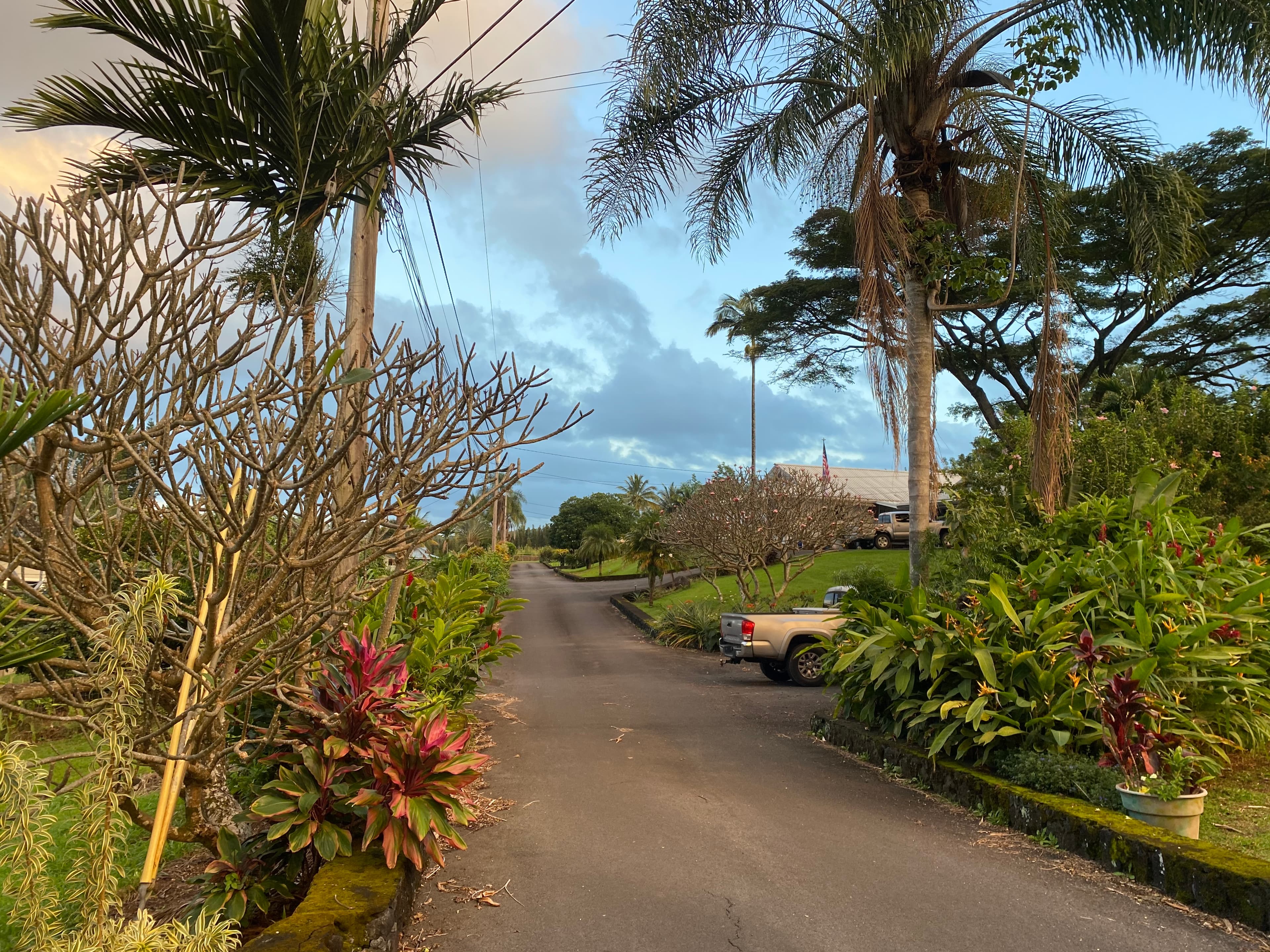 A garden on both sides of the road