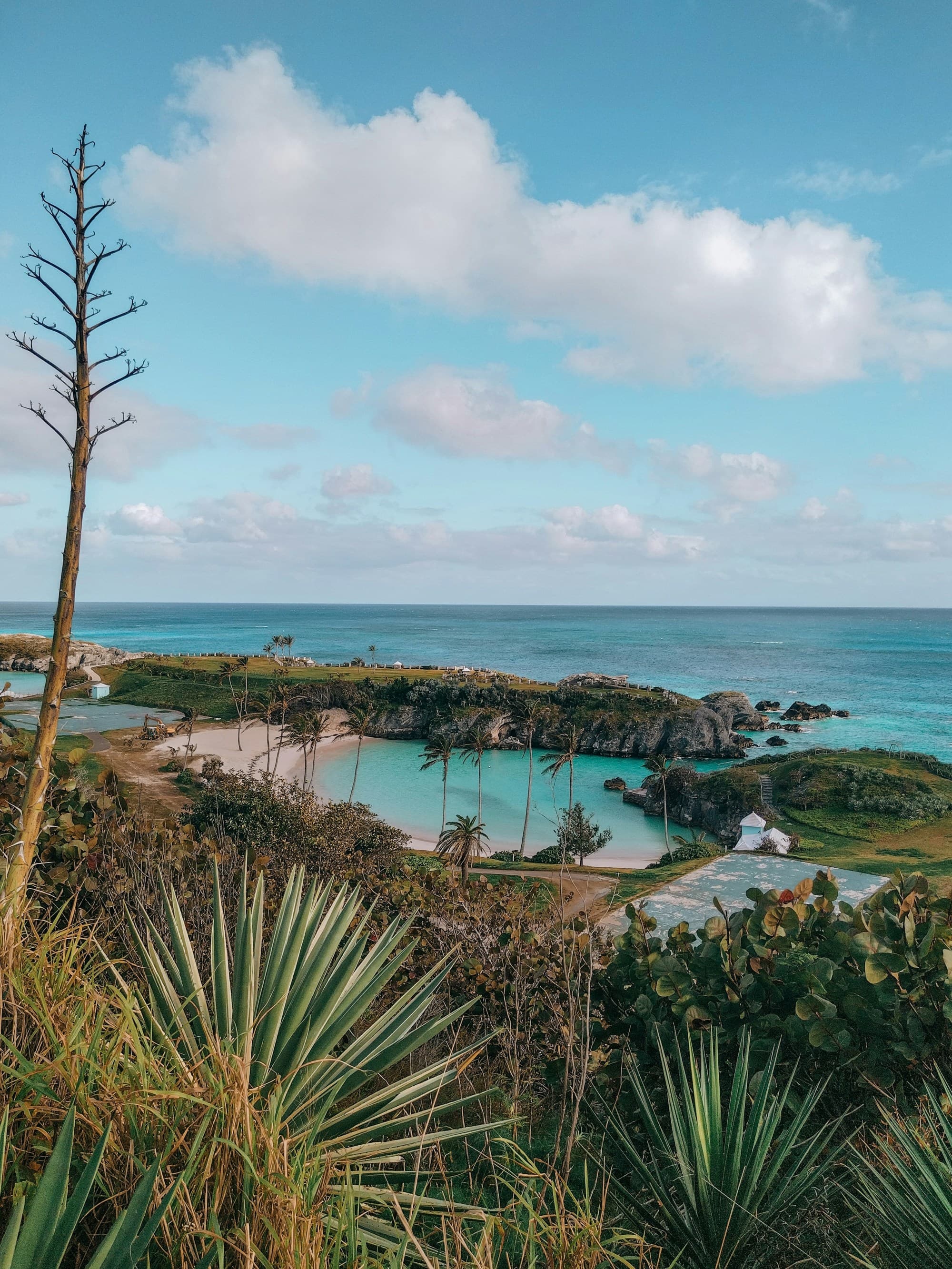 A tranquil coastal vista with lush foliage under a clear azure sky.