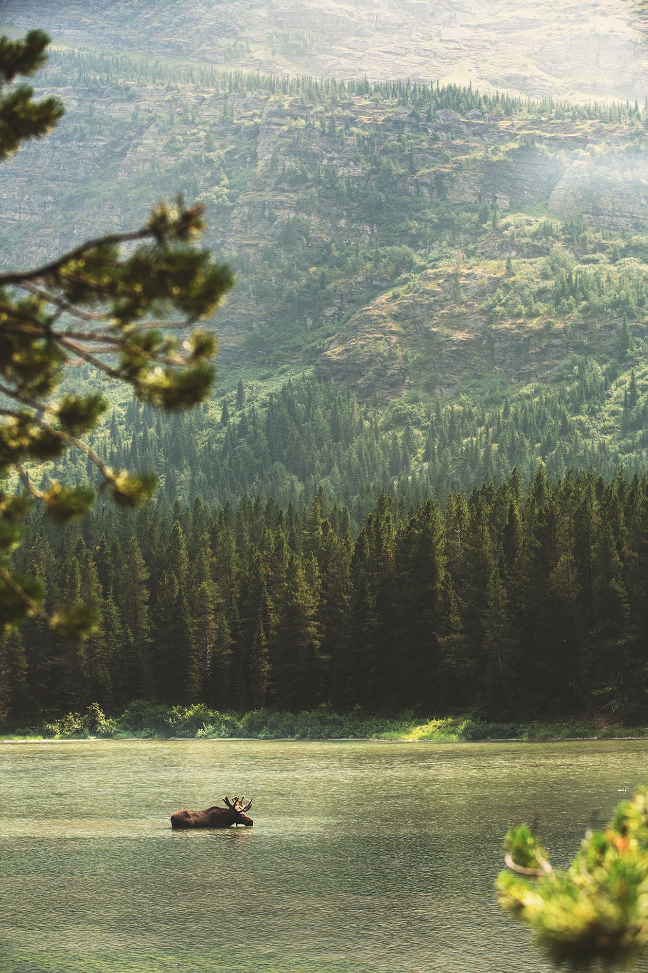 Lake with rhino in it and green mountains at the back.