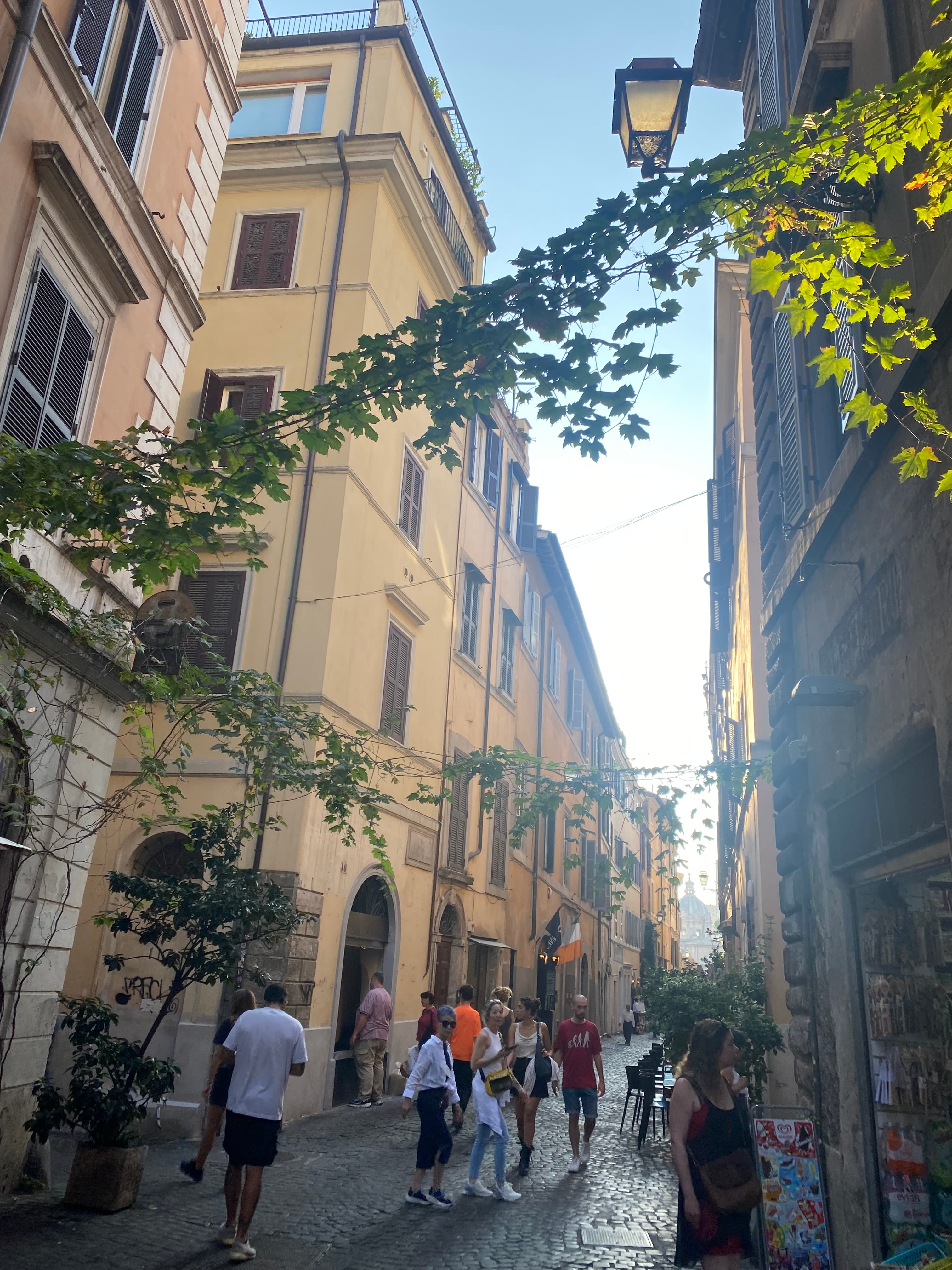 A cobblestone street surrounded by yellow European buildings, vines and street lamps. There are tourists walking down the street, too.