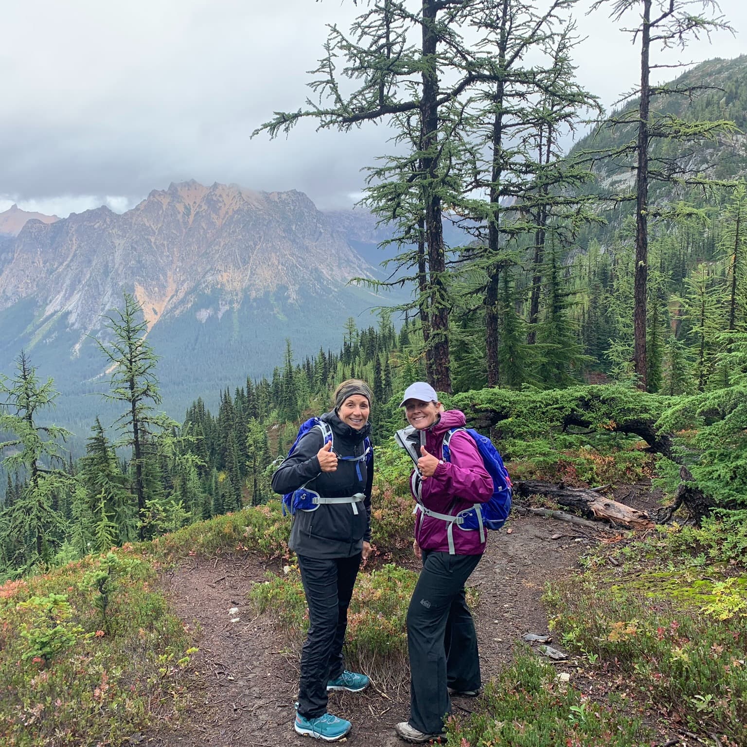 People hiking with trees and mountains at back.