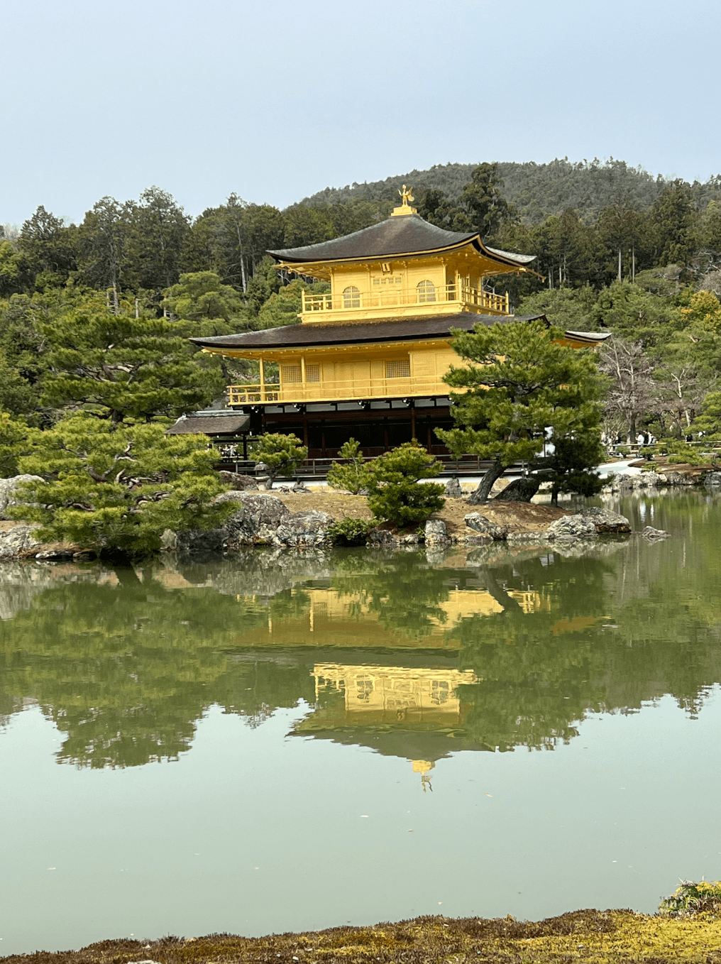 An image of a gorgeous yellow temple nestled into an assortment of trees against a reflective body of water.