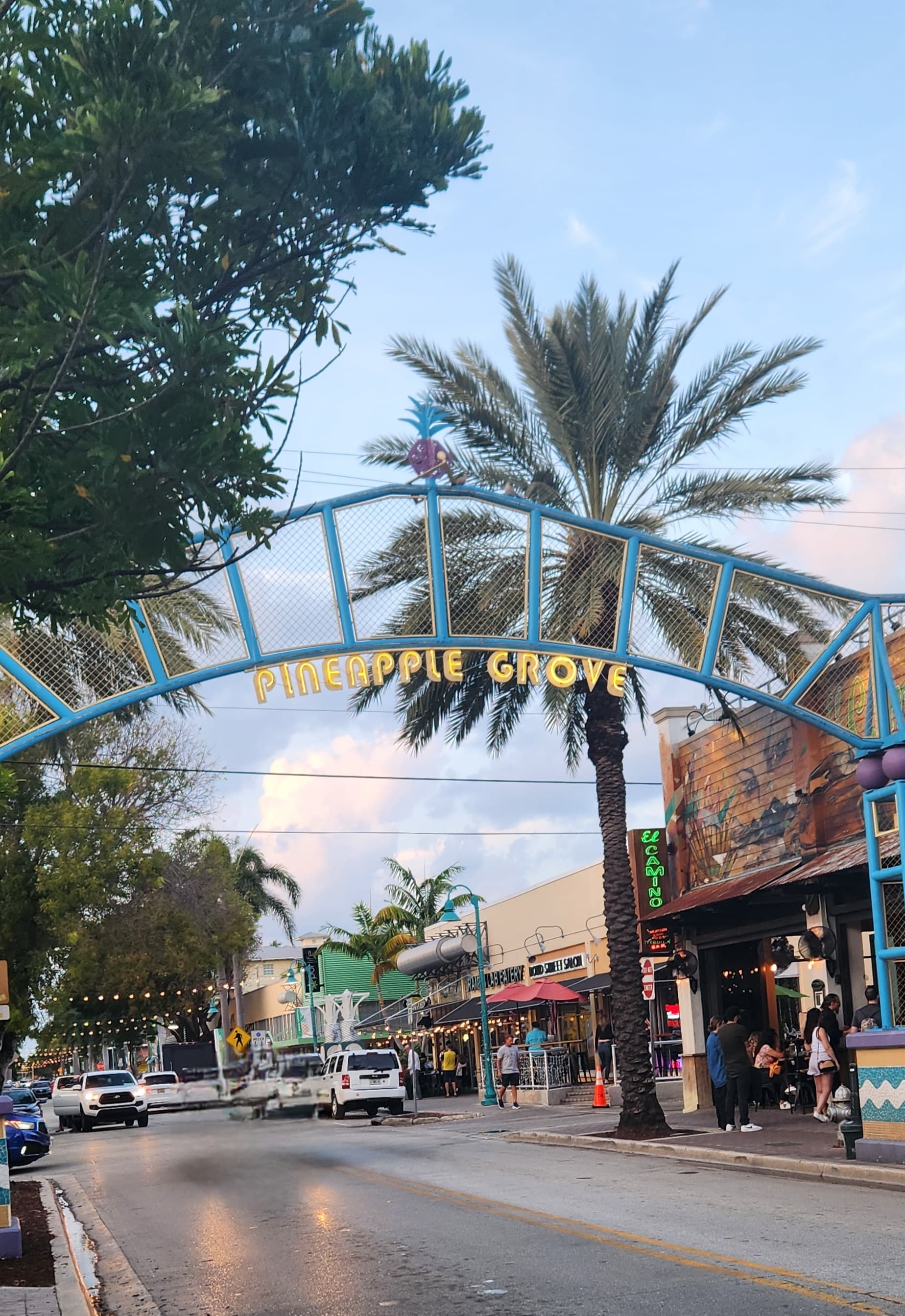 palm trees and shops on the roadside