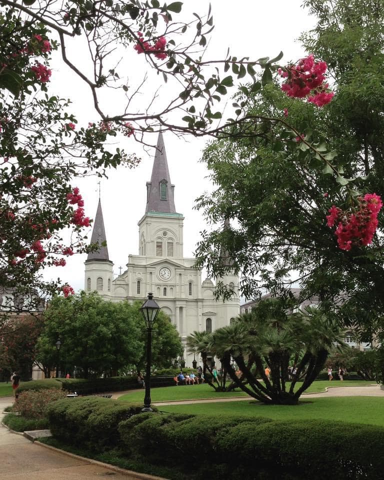 A large white house in front of a lawn full of trees and hedges