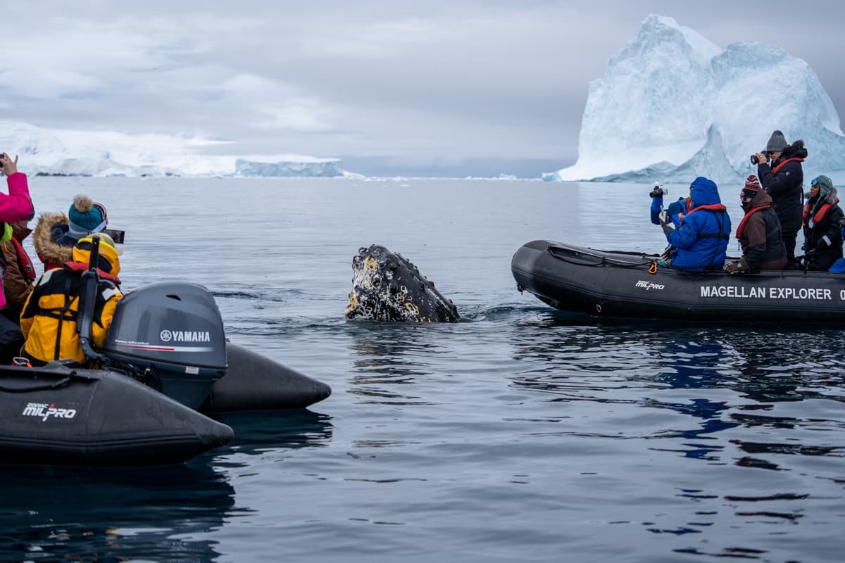 People in boats in the sea