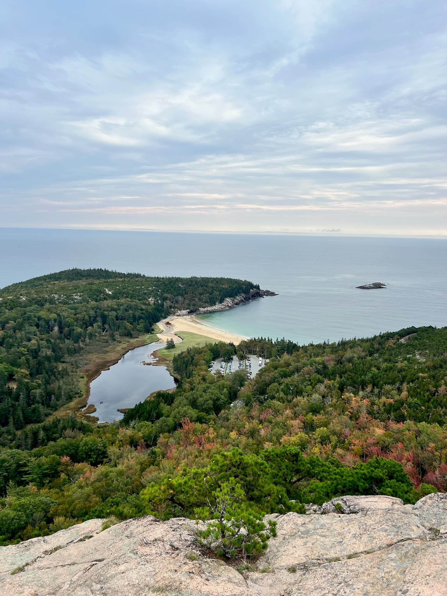 Aerial view of a green field next to the ocean