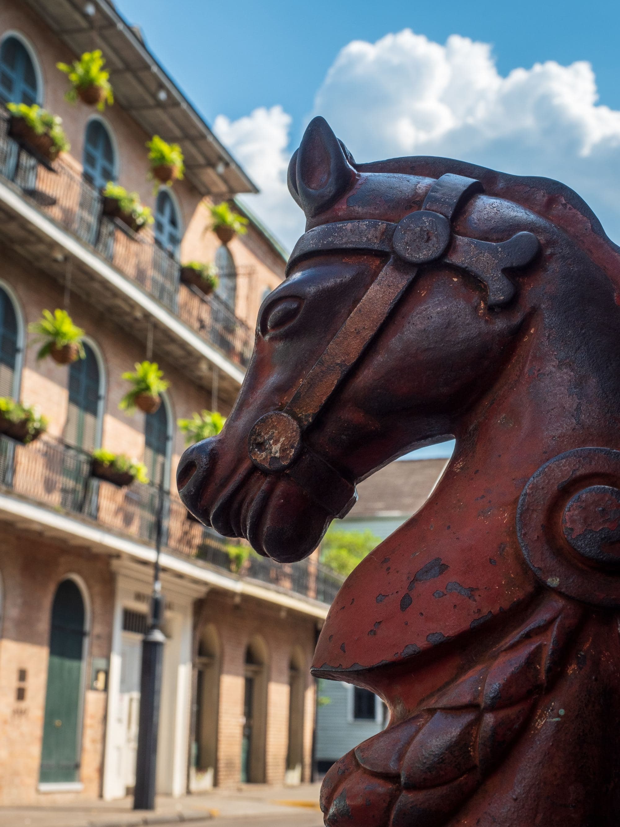 A picture of a wooden horse near concrete building during daytime.