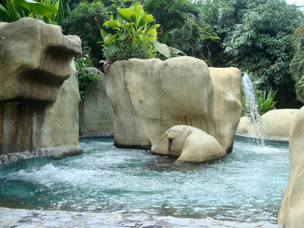 Rainforest Adventure