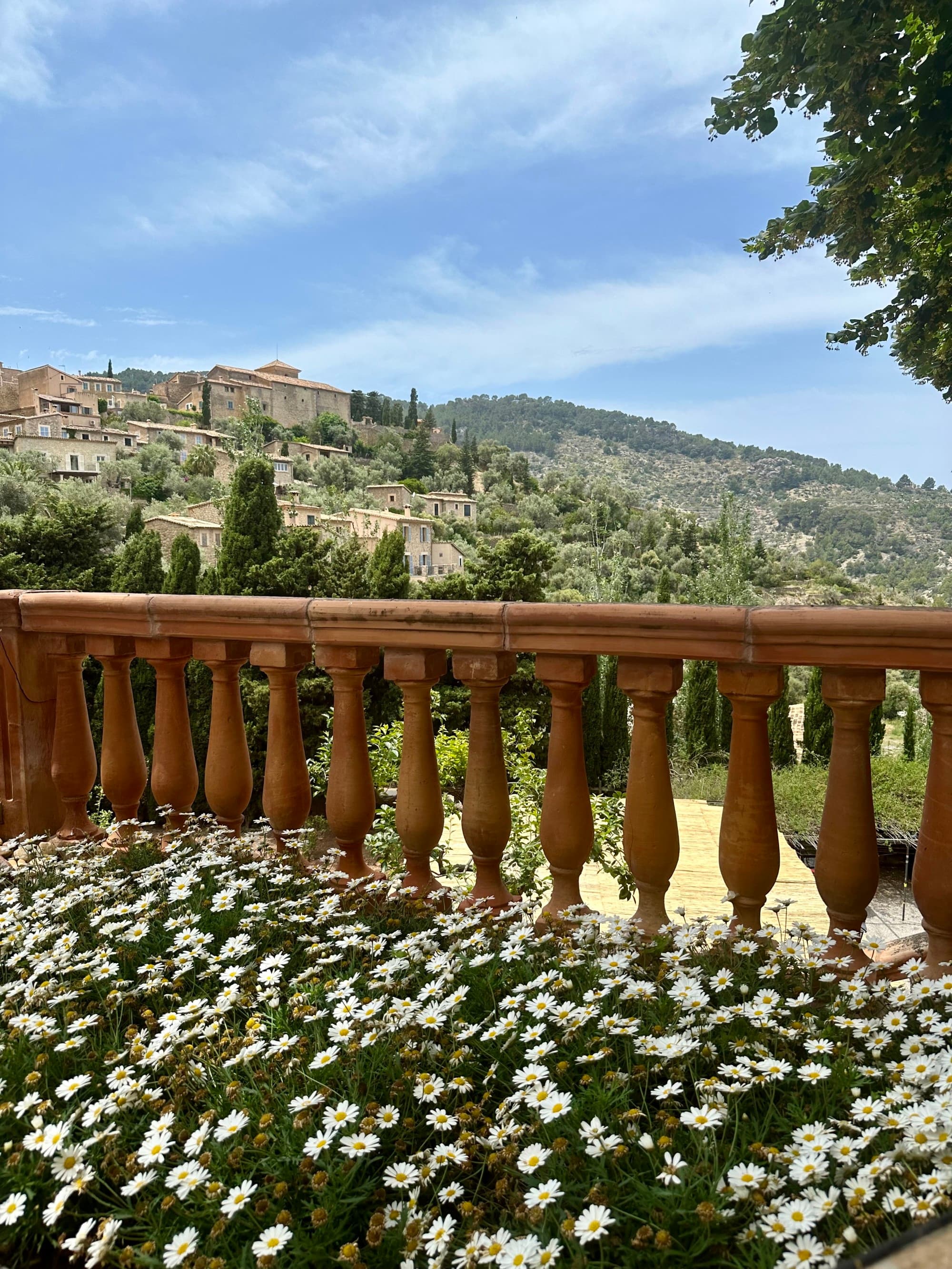 This captivating image showcases a historic town perched on a hill, framed by a wooden balcony adorned with flowers, overlooking lush greenery and rolling hills under a partly cloudy sky.